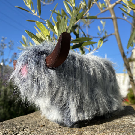 Highland Cow Blue Grey