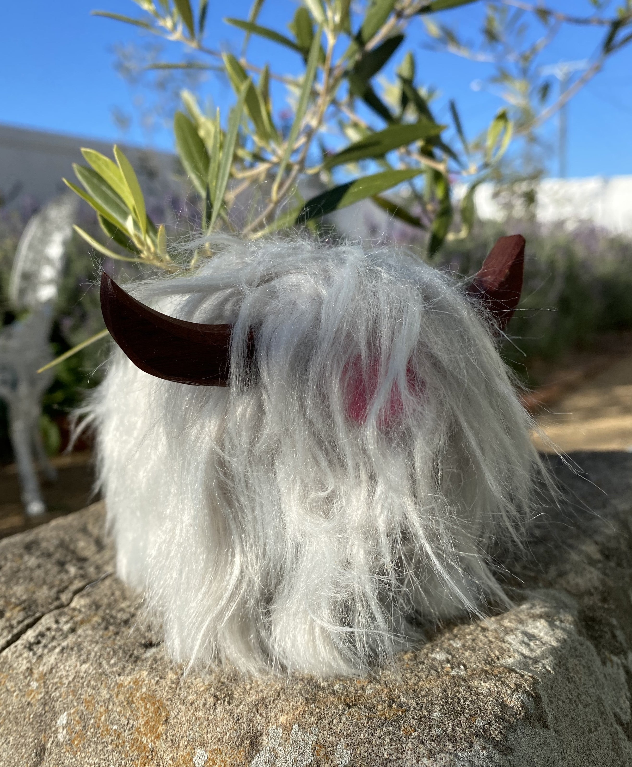 Highland cow Light Grey