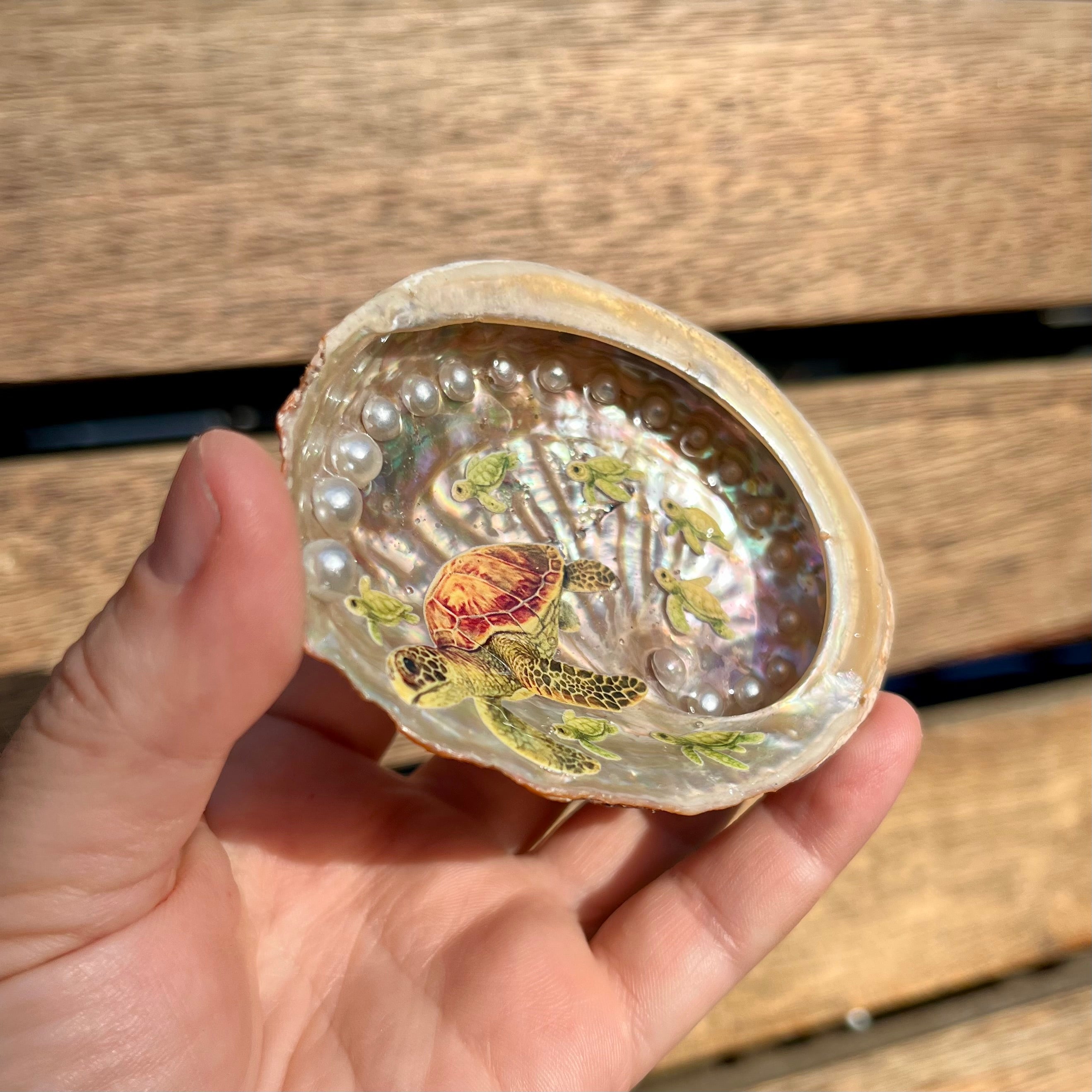 Turtle Ocean Shell Dish For Trinkets
