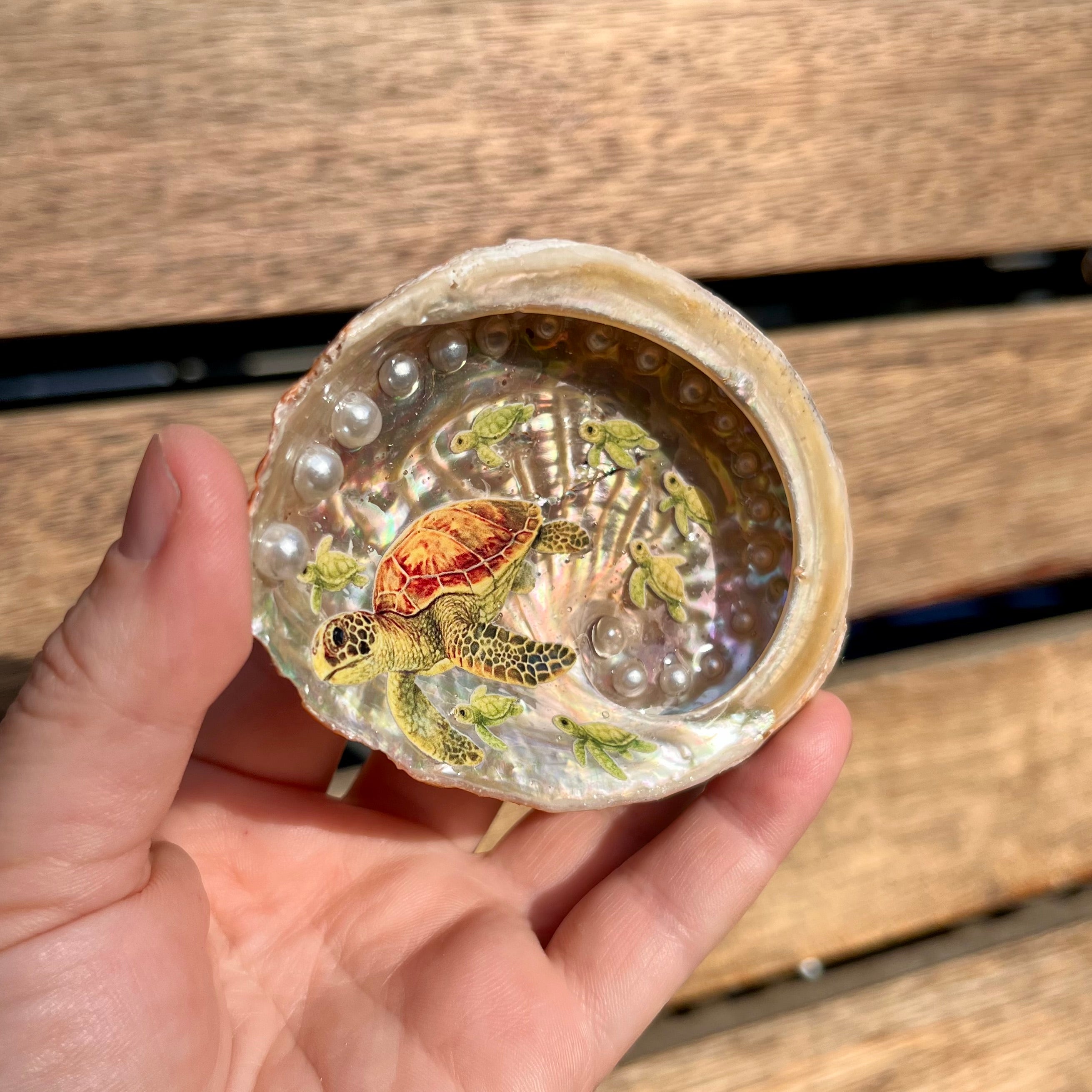 Turtle Ocean Shell Dish For Trinkets