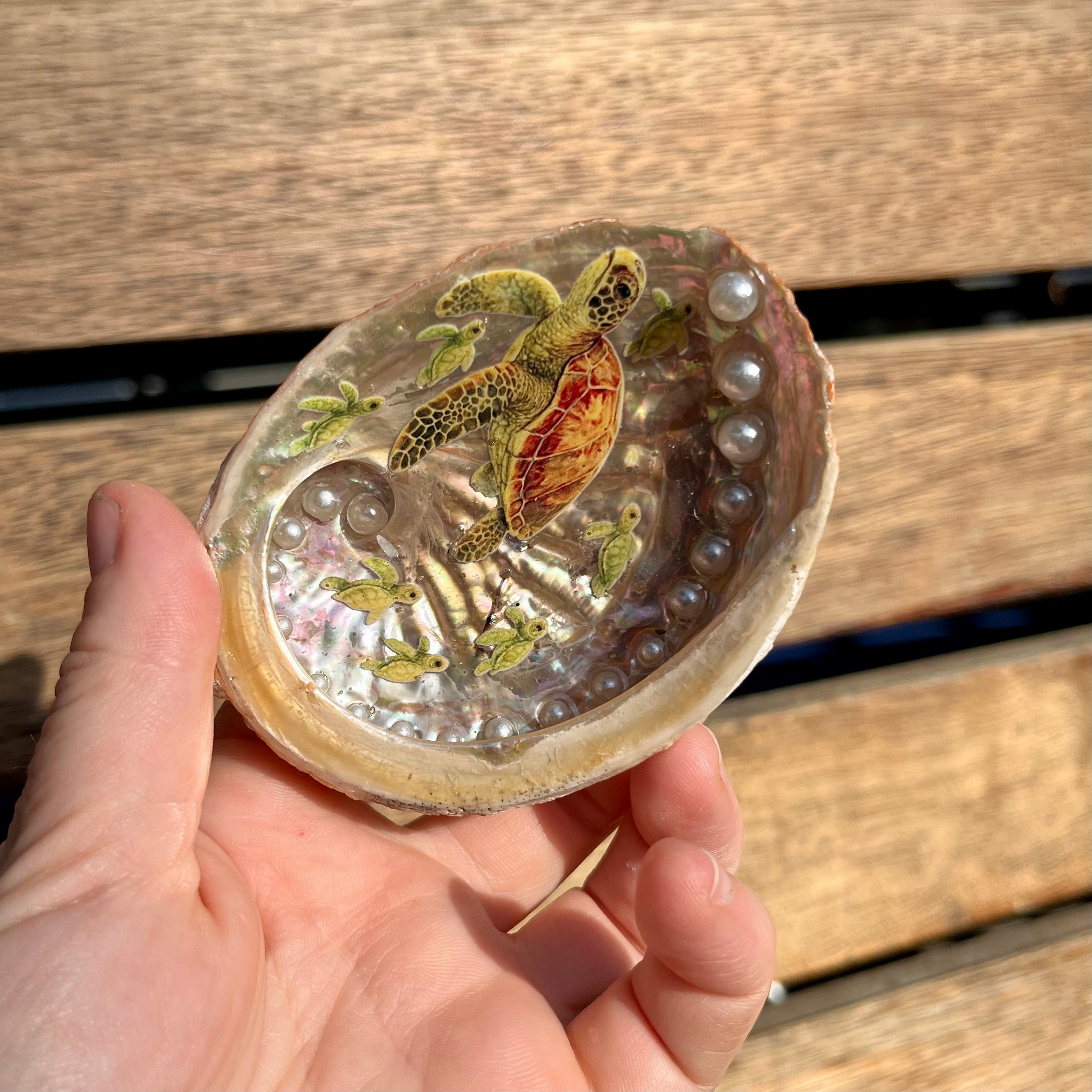 Turtle Ocean Shell Dish For Trinkets