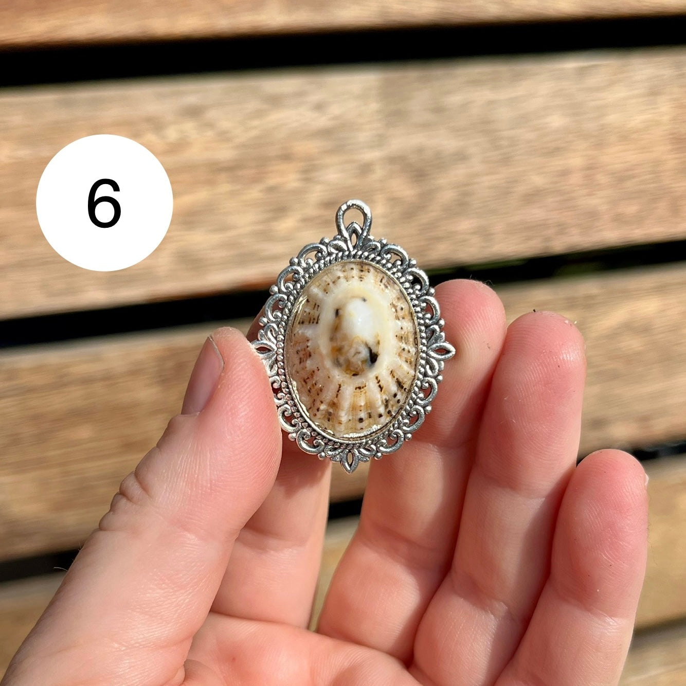 Antique Limpet Shell Pendant Necklace