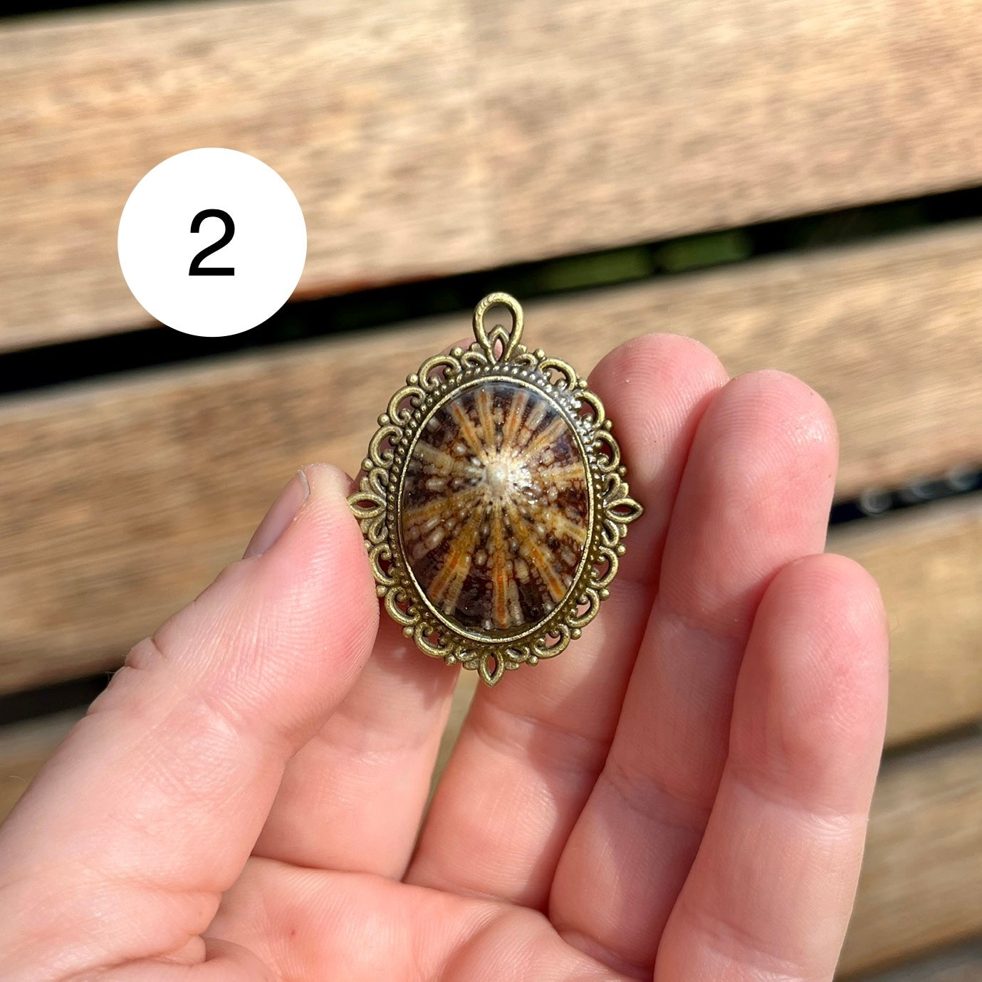 Antique Limpet Shell Pendant Necklace