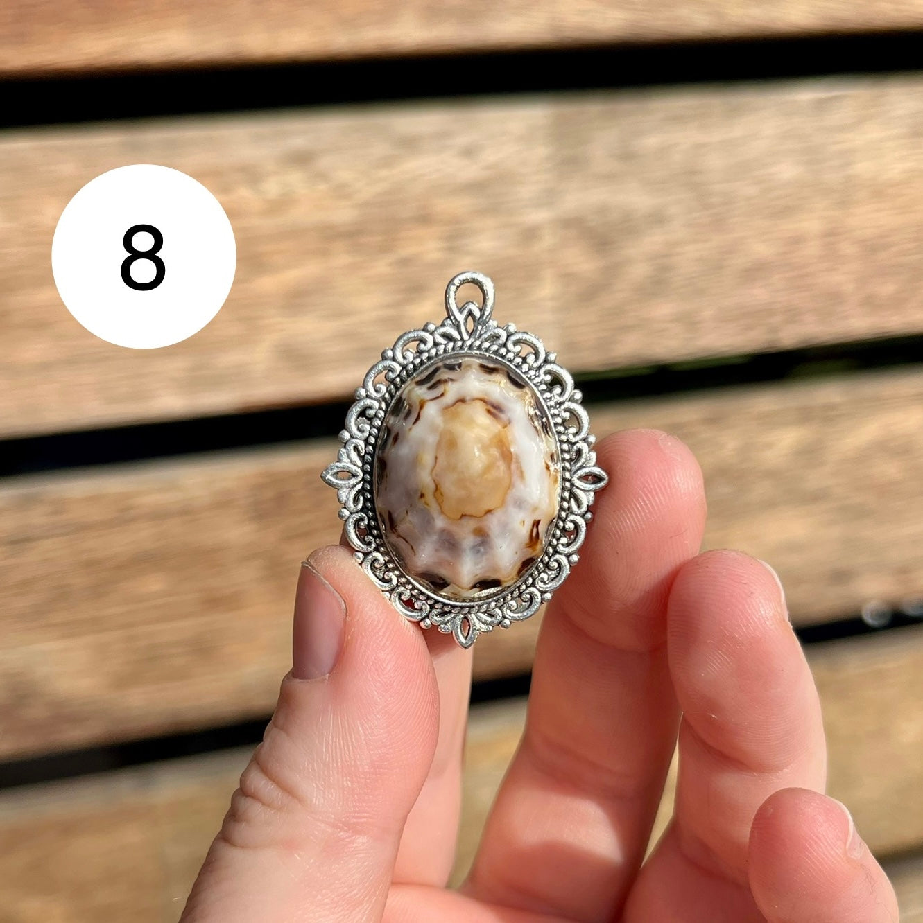 Antique Limpet Shell Pendant Necklace