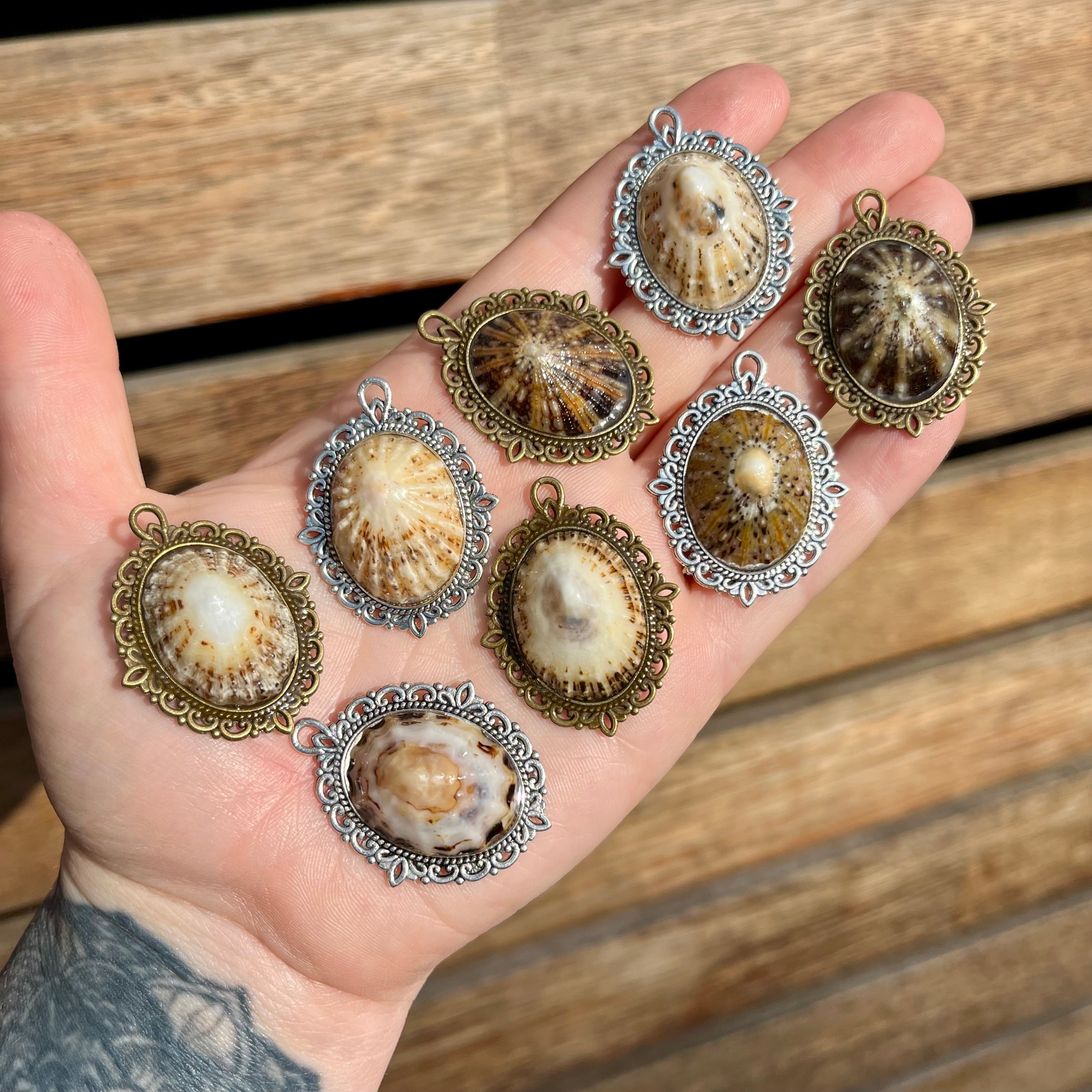 Antique Limpet Shell Pendant Necklace