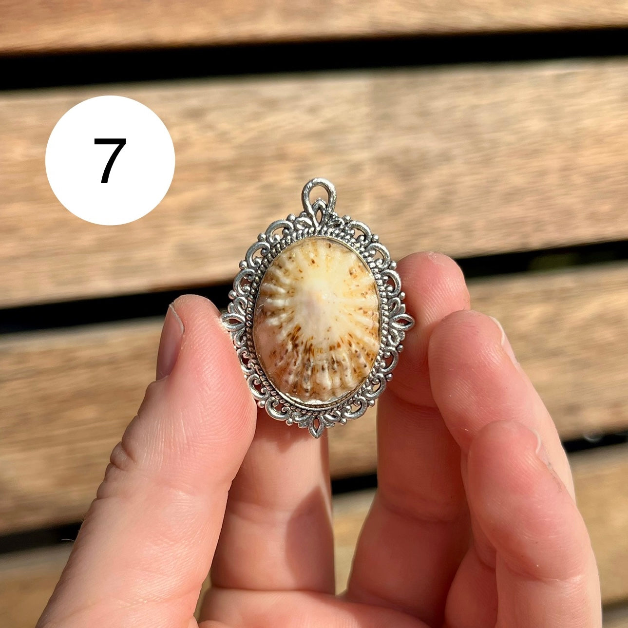Antique Limpet Shell Pendant Necklace