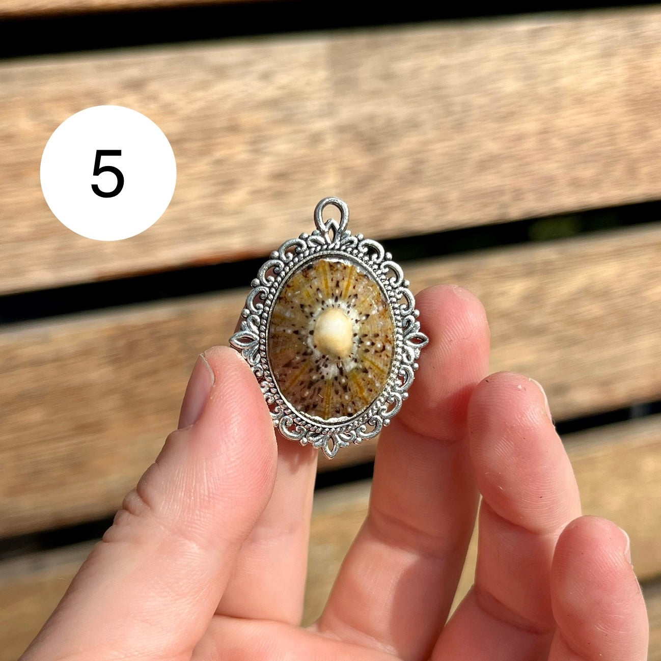 Antique Limpet Shell Pendant Necklace