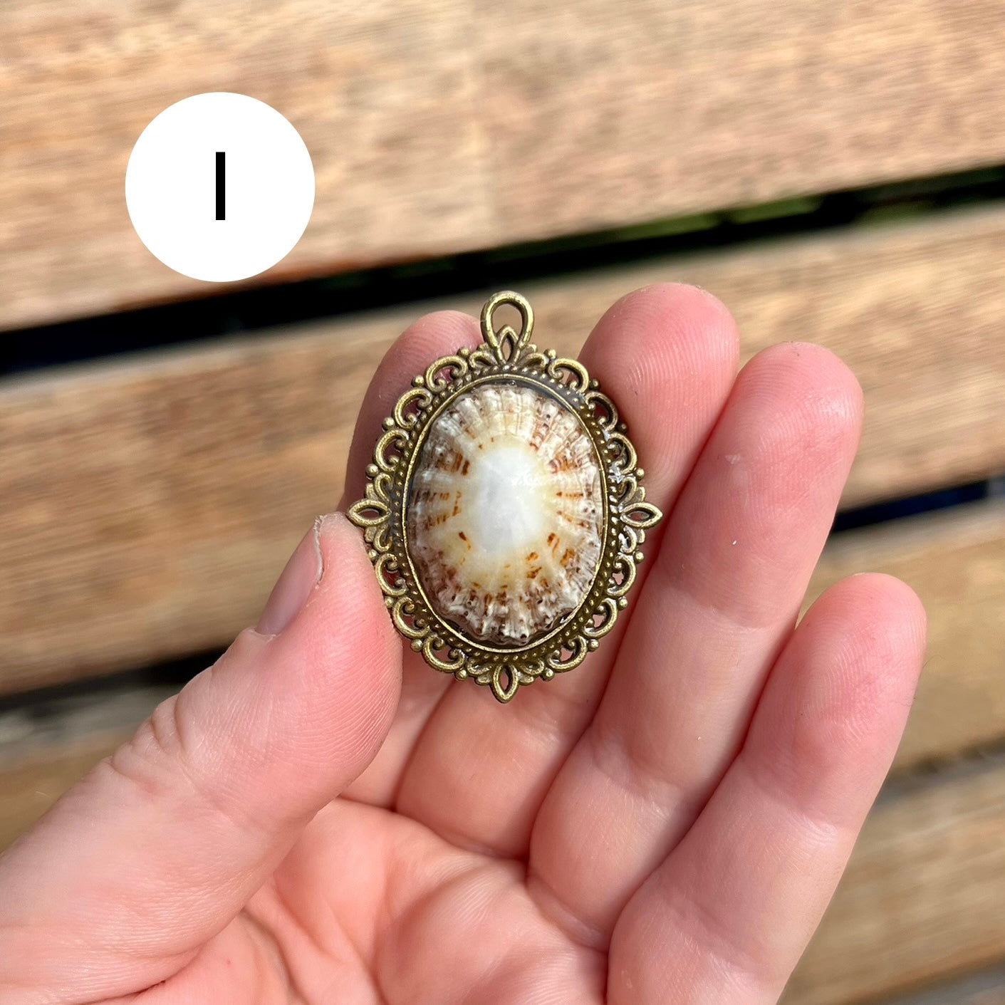 Antique Limpet Shell Pendant Necklace