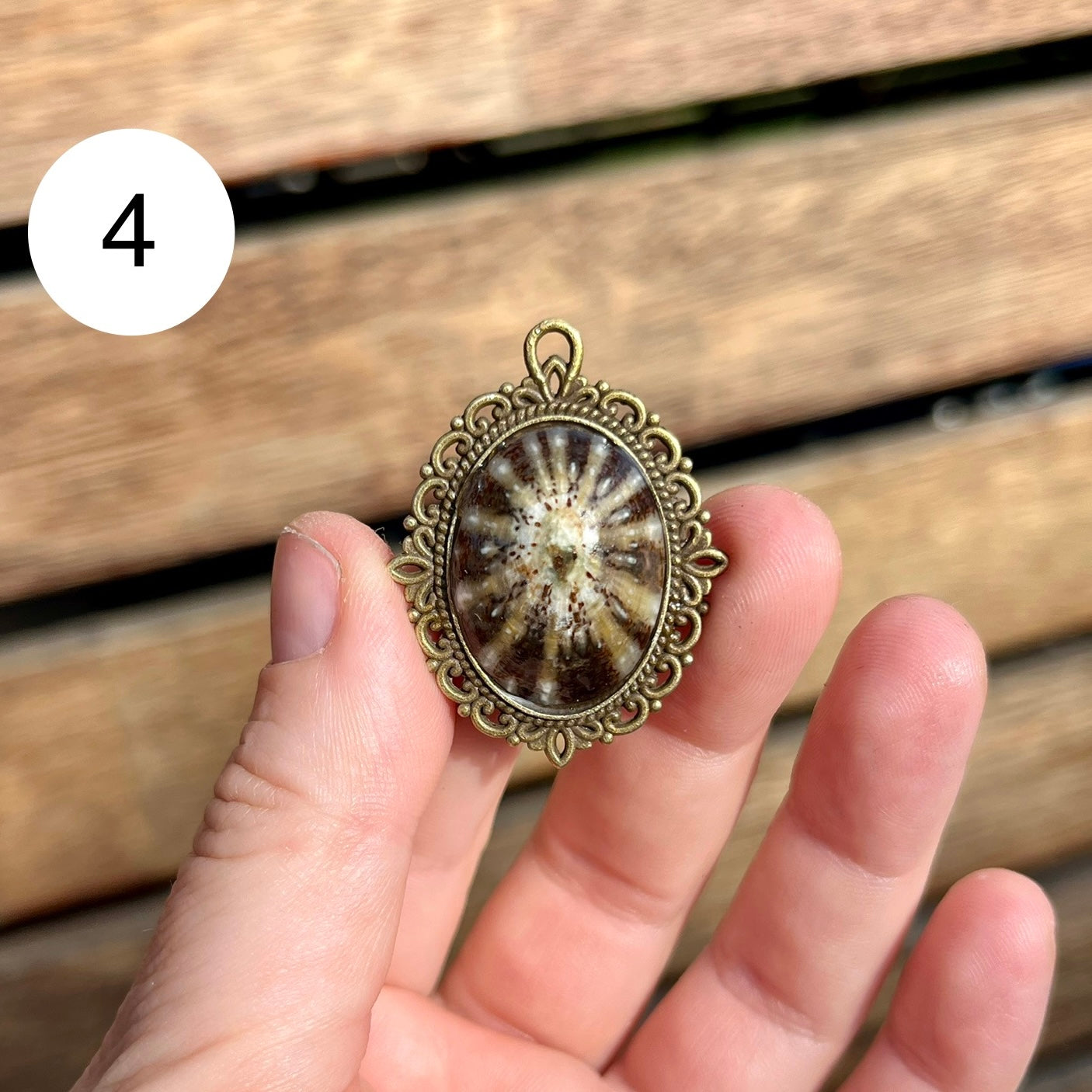 Antique Limpet Shell Pendant Necklace