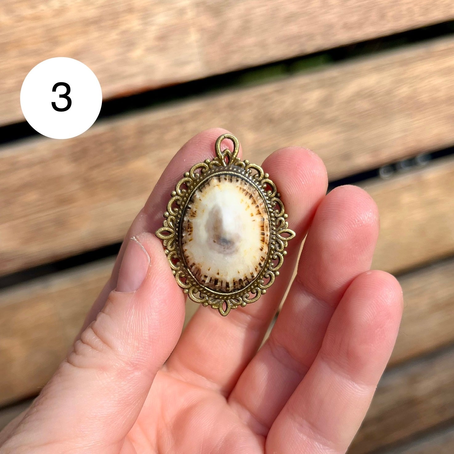 Antique Limpet Shell Pendant Necklace