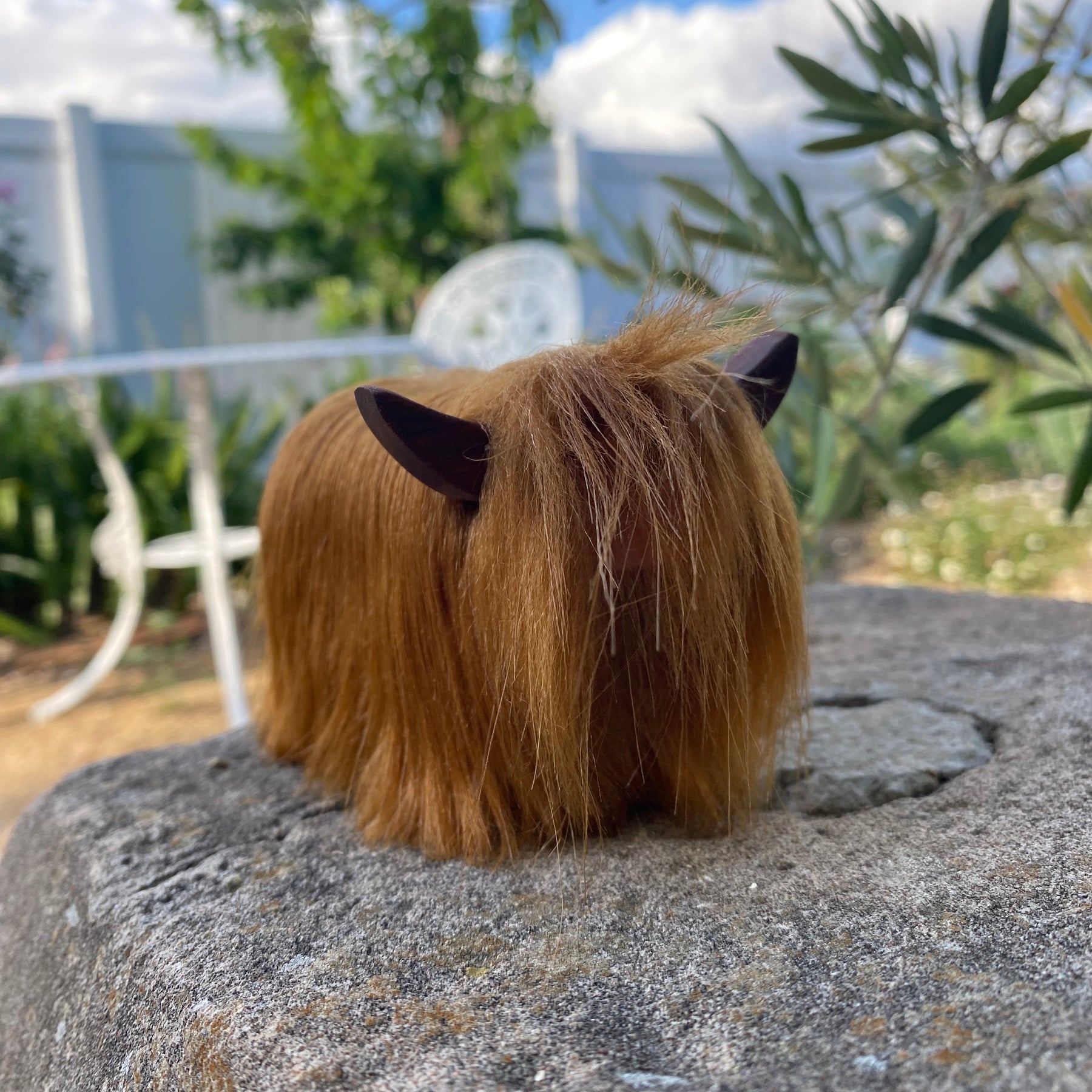 Highland Cow Calf