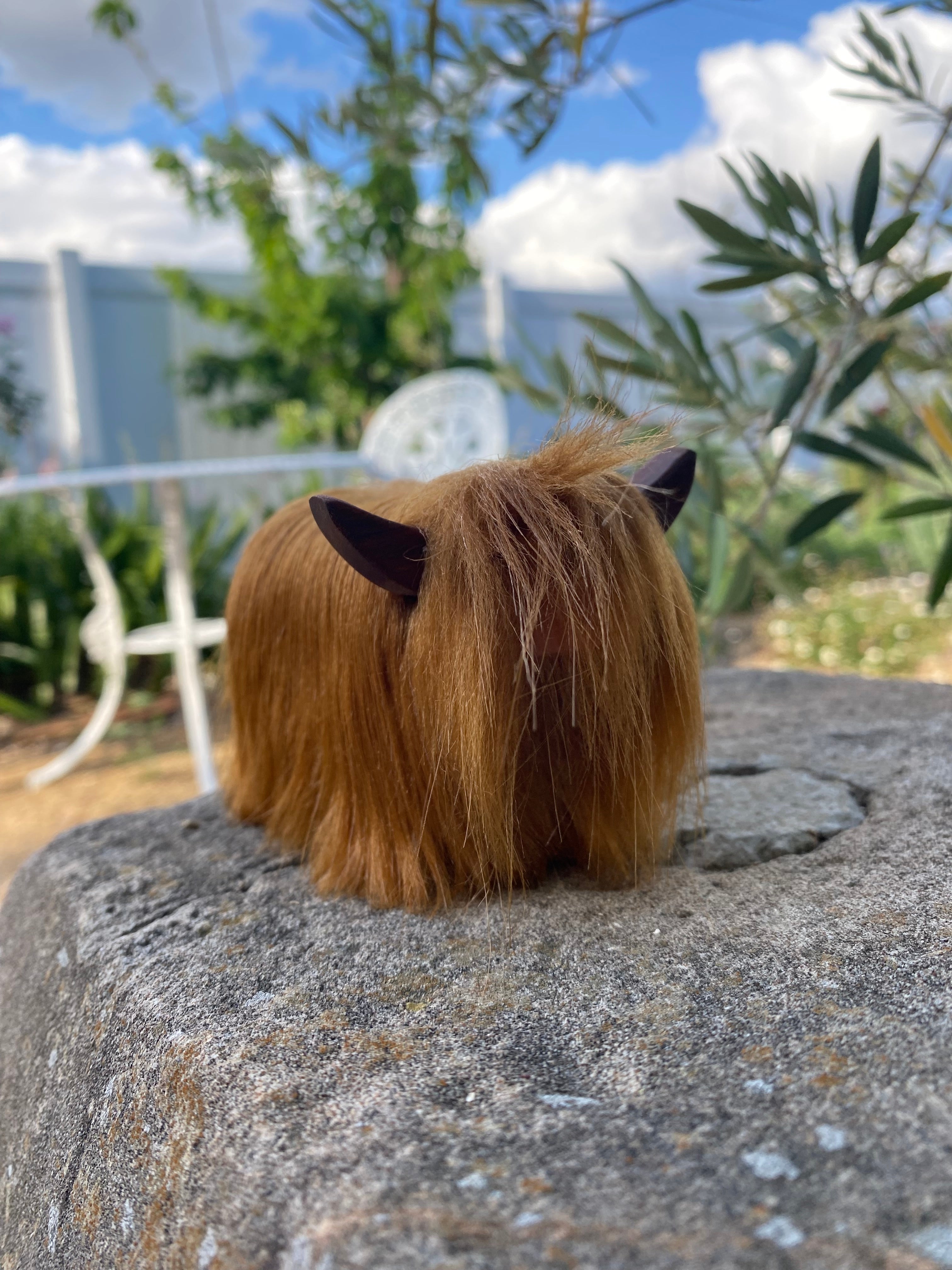 Highland Cow Calf