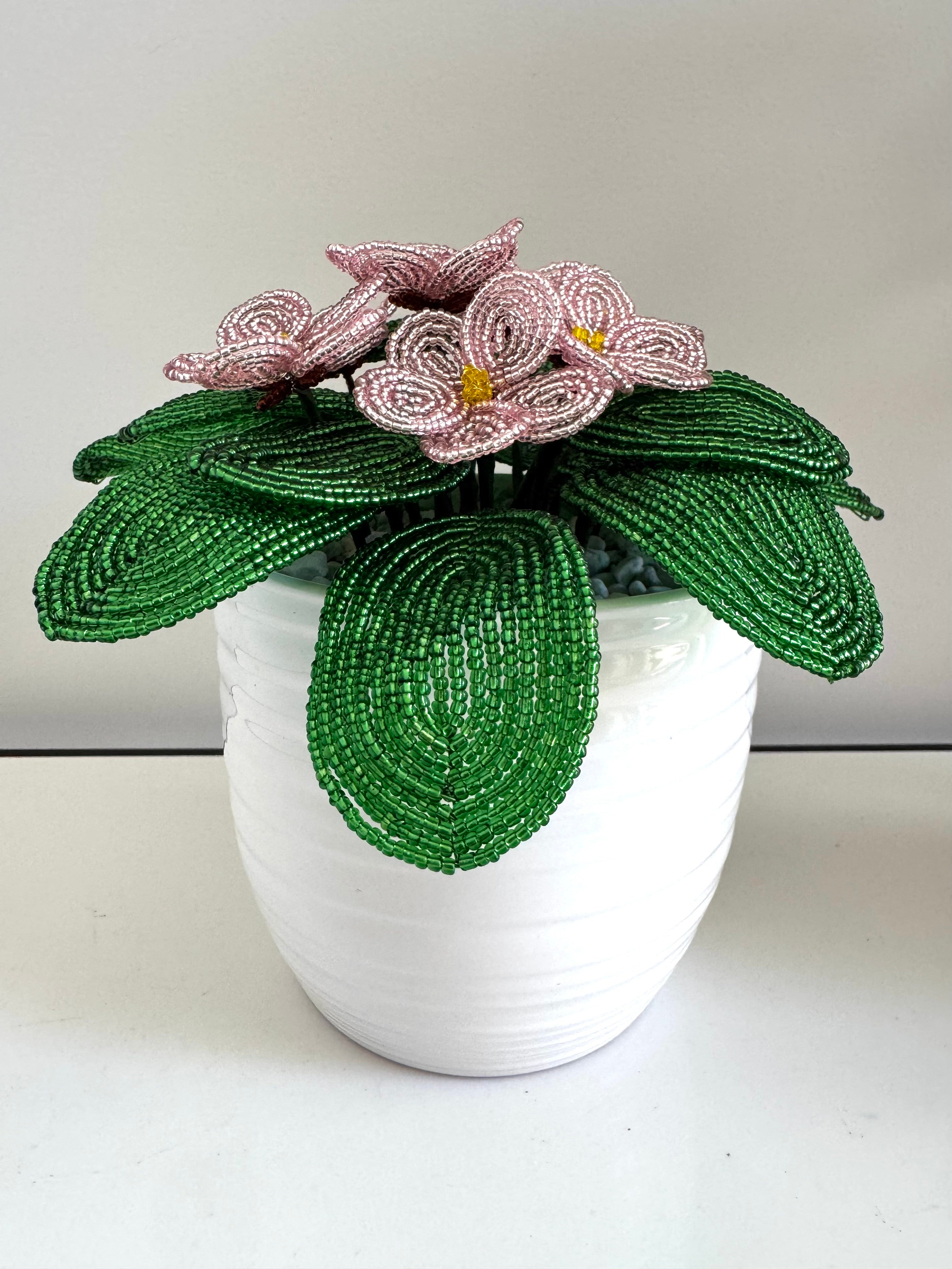French-beaded potted pink African Violet