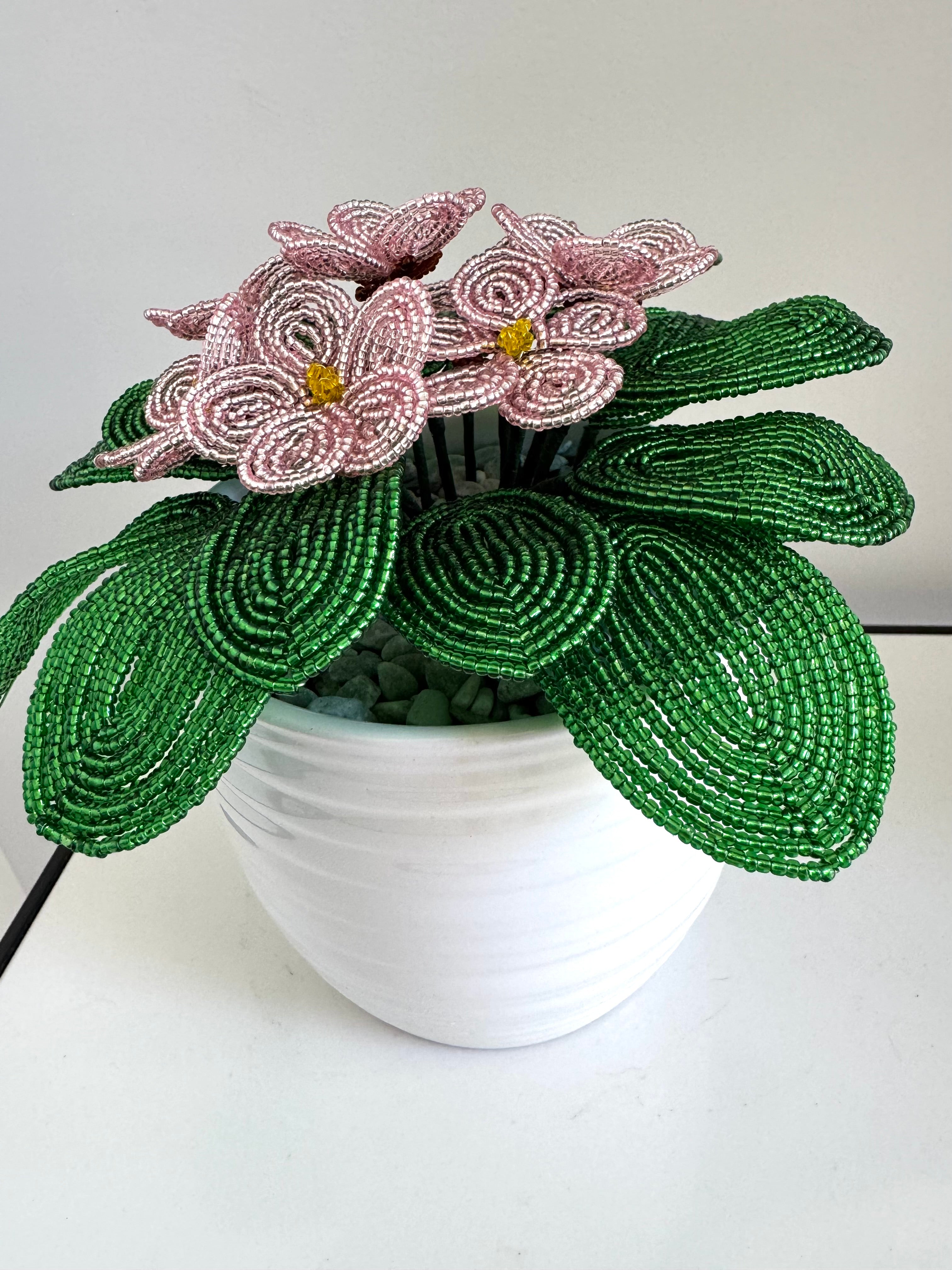 French-beaded potted pink African Violet