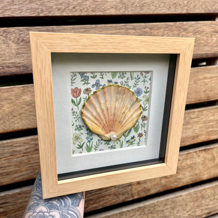 Coastal Framed Shell Art Natural & Floral