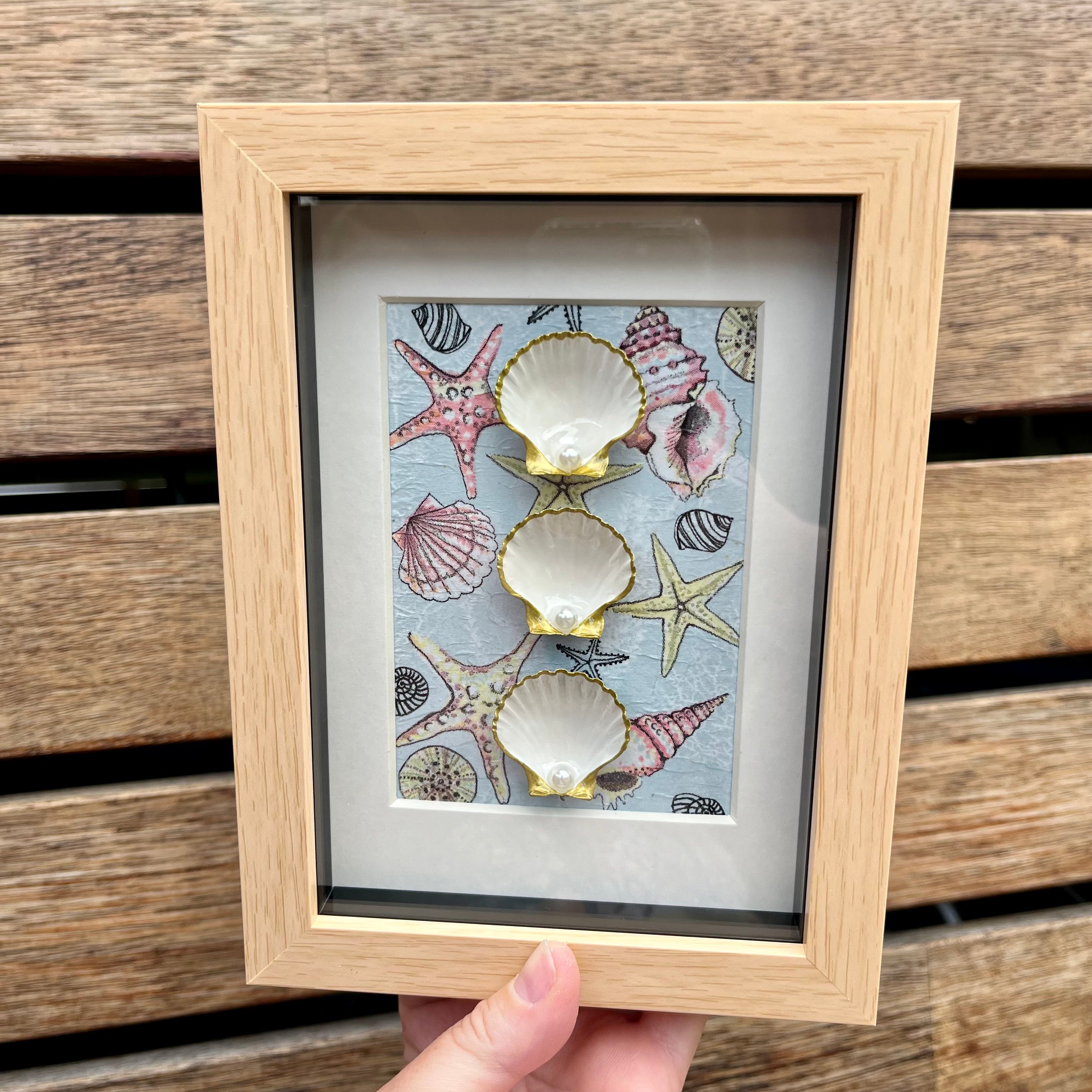Framed Shells With Coastal Vibes