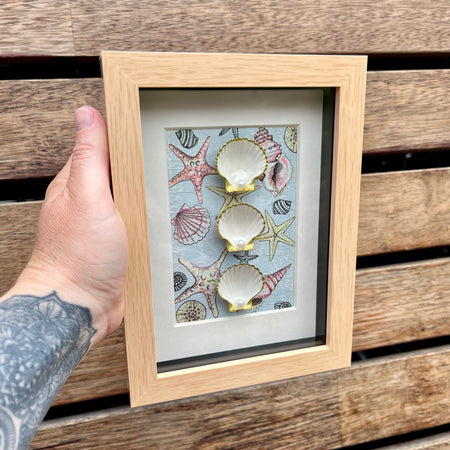 Framed Shells With Coastal Vibes
