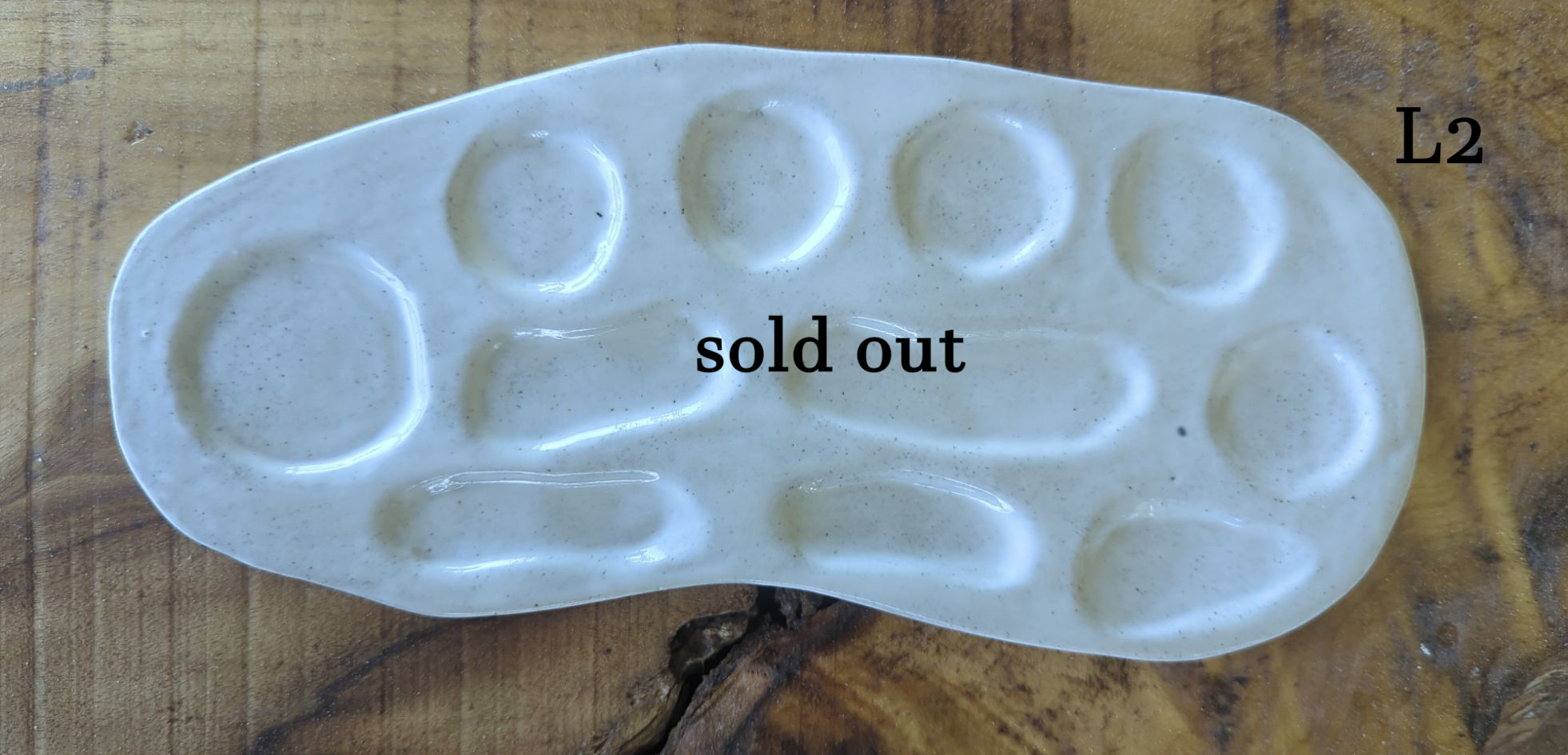 Ceramic Paint Palette