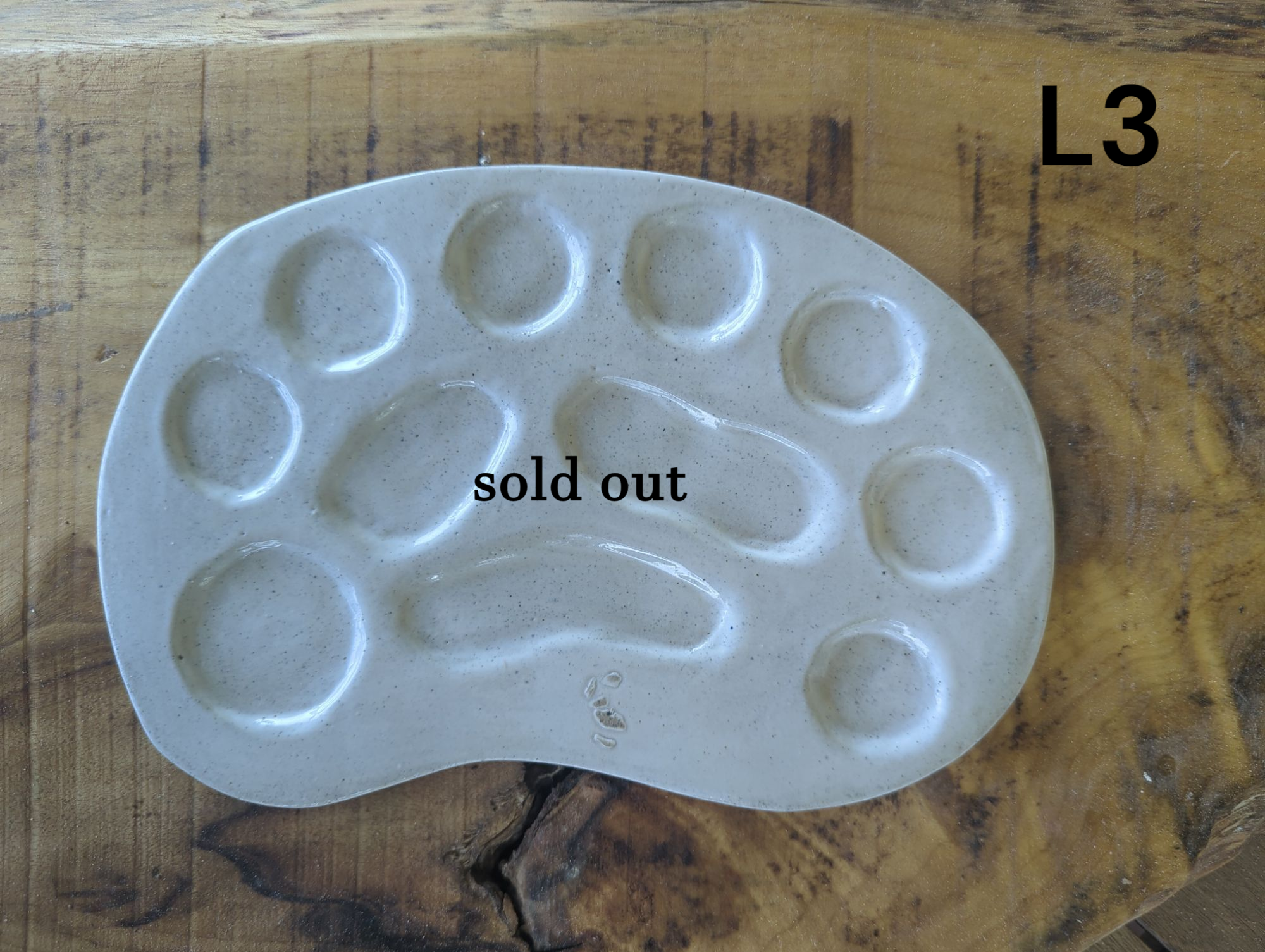 Ceramic Paint Palette