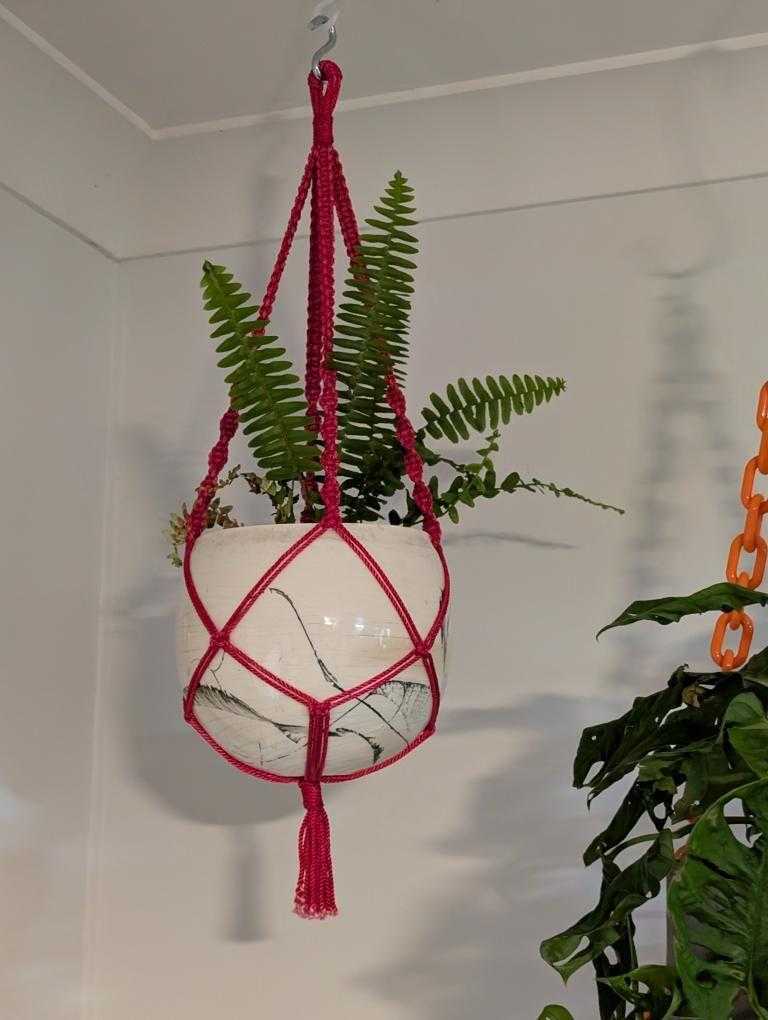 Upcycled Macrame Plant Hanger