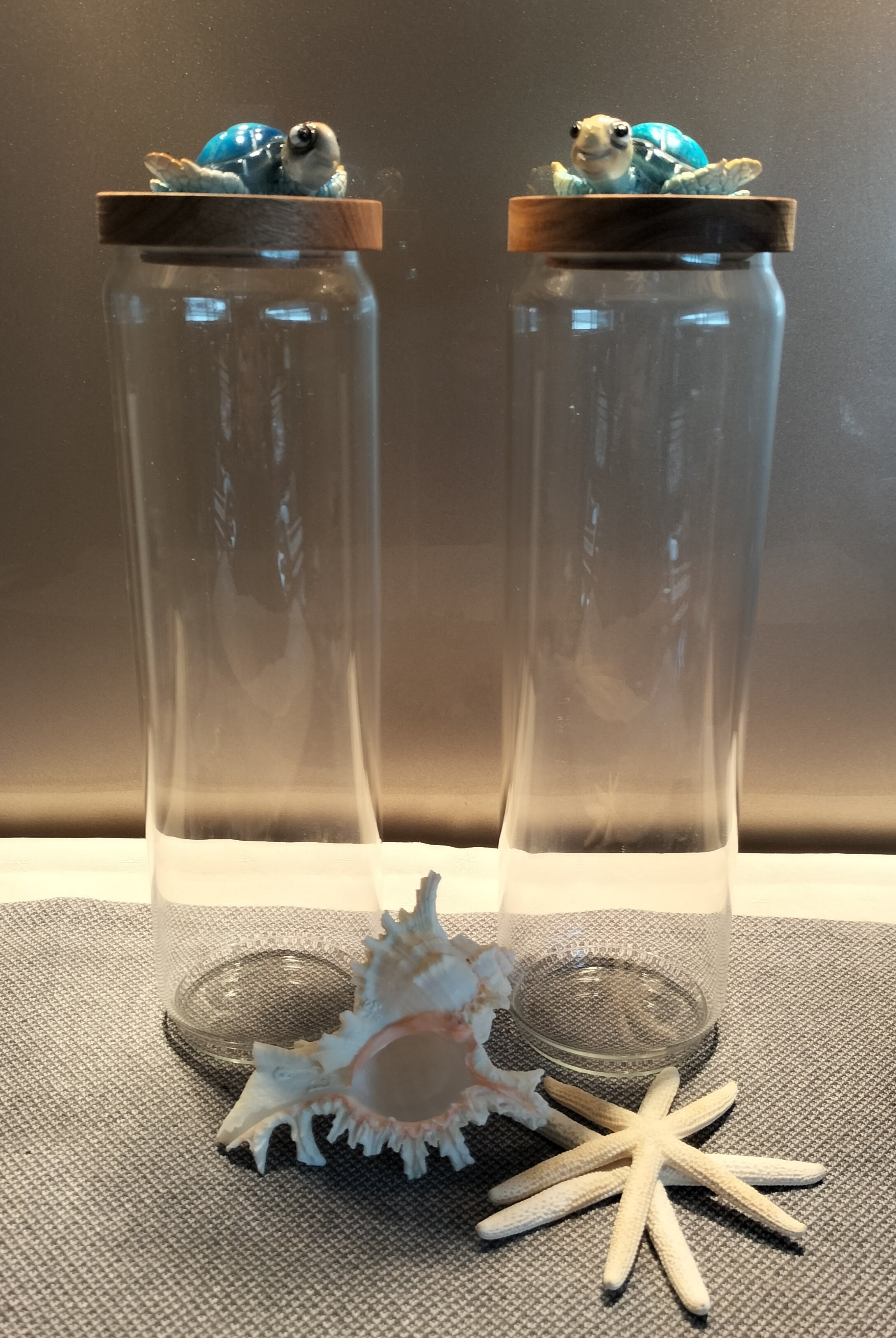 Turtle mania glass spaghetti jars