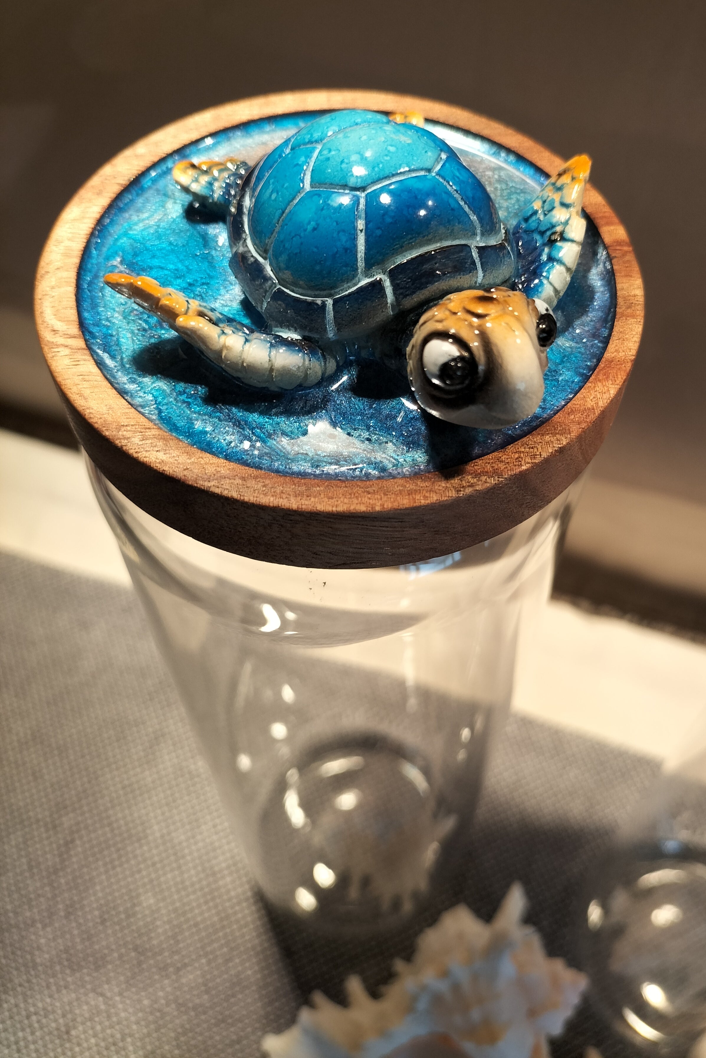 Turtle mania glass spaghetti jars