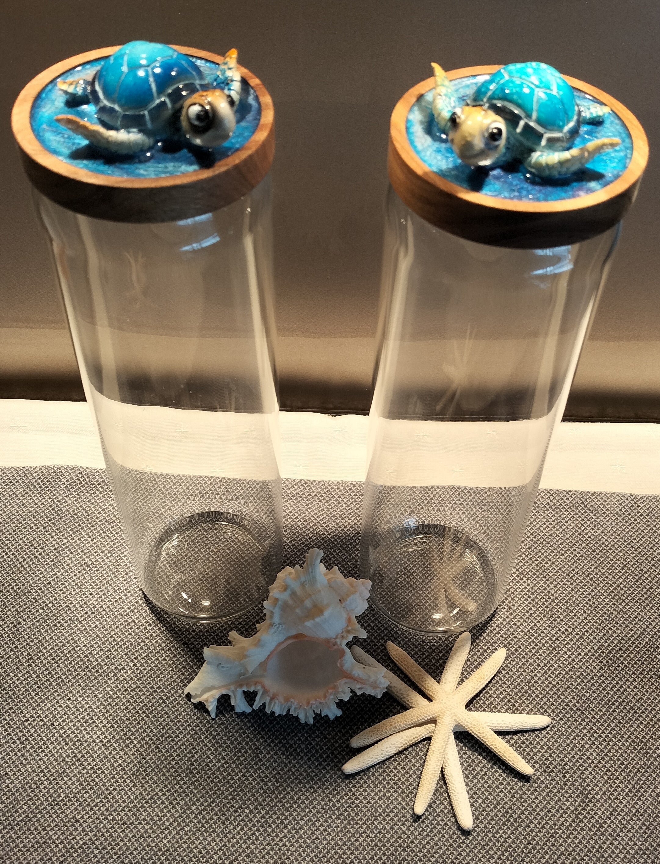 Turtle mania glass spaghetti jars