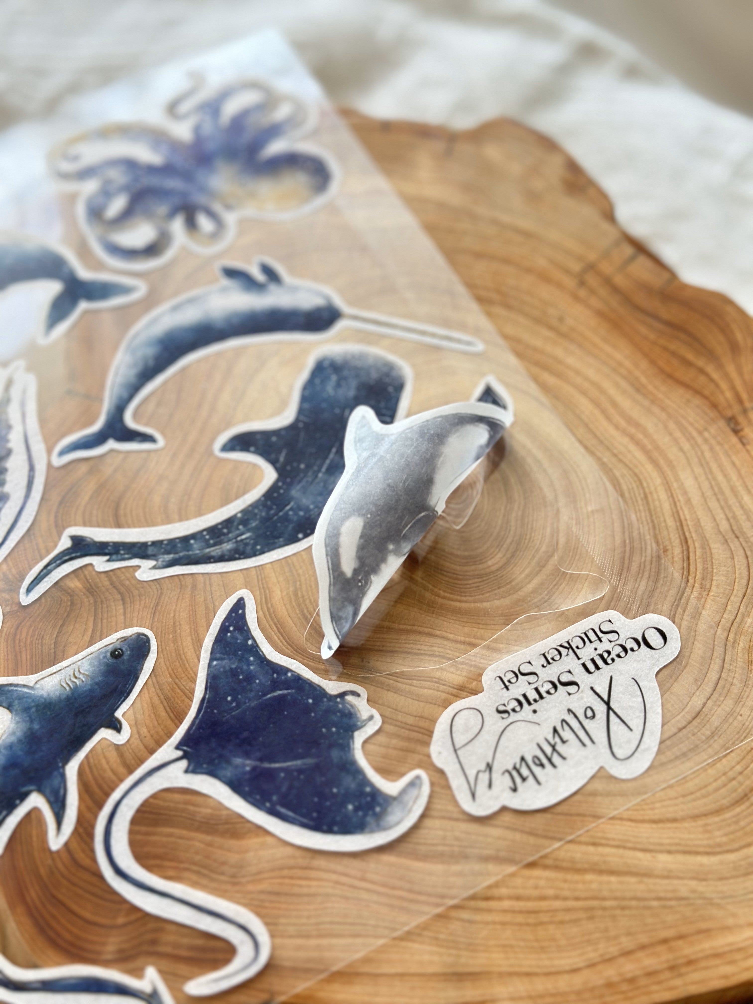 Ocean Animal Washi Sticker Set in Watercolor style