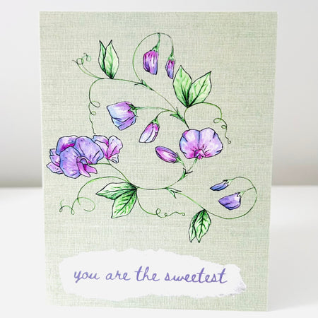 Greeting Card - Sweet Pea