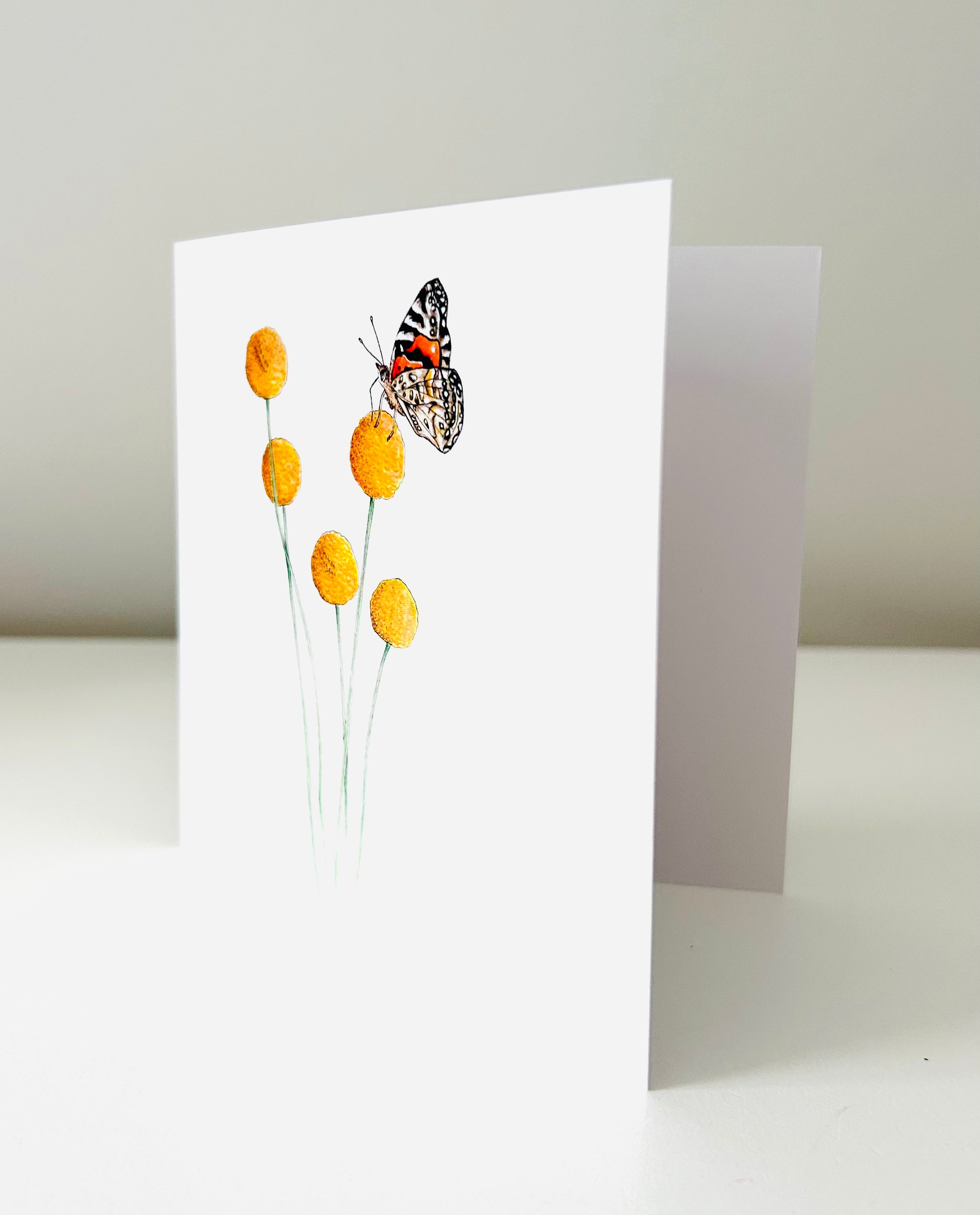 Art Card - Billy Buttons & Australian Painted Lady Butterfly