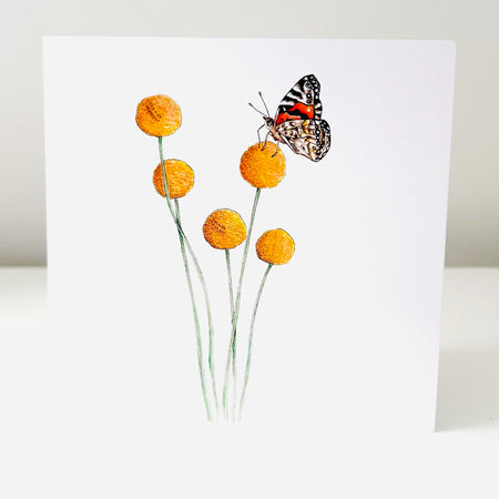 Art Card - Billy Buttons & Australian Painted Lady Butterfly