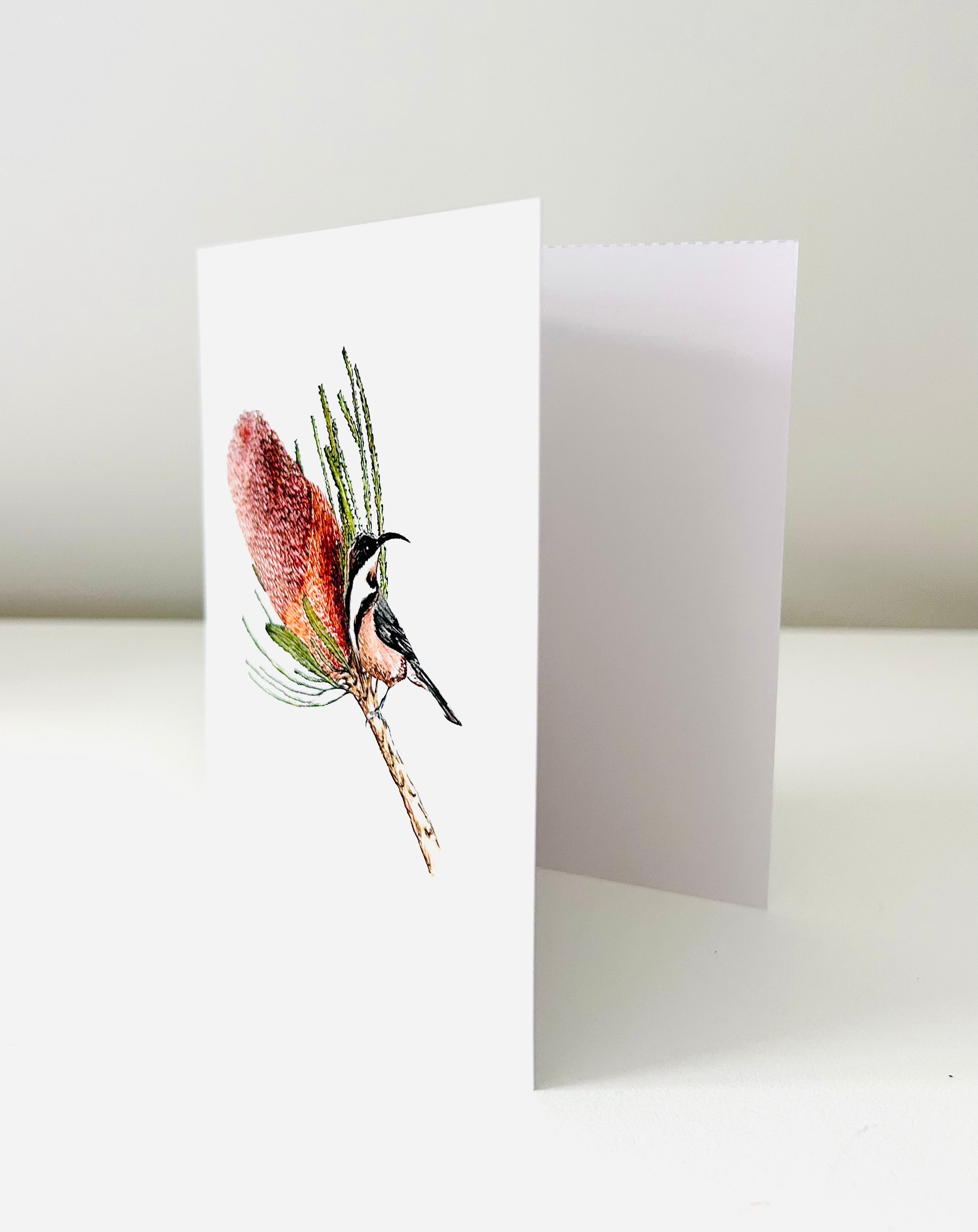 Art Card - Banksia & Eastern Spinebill
