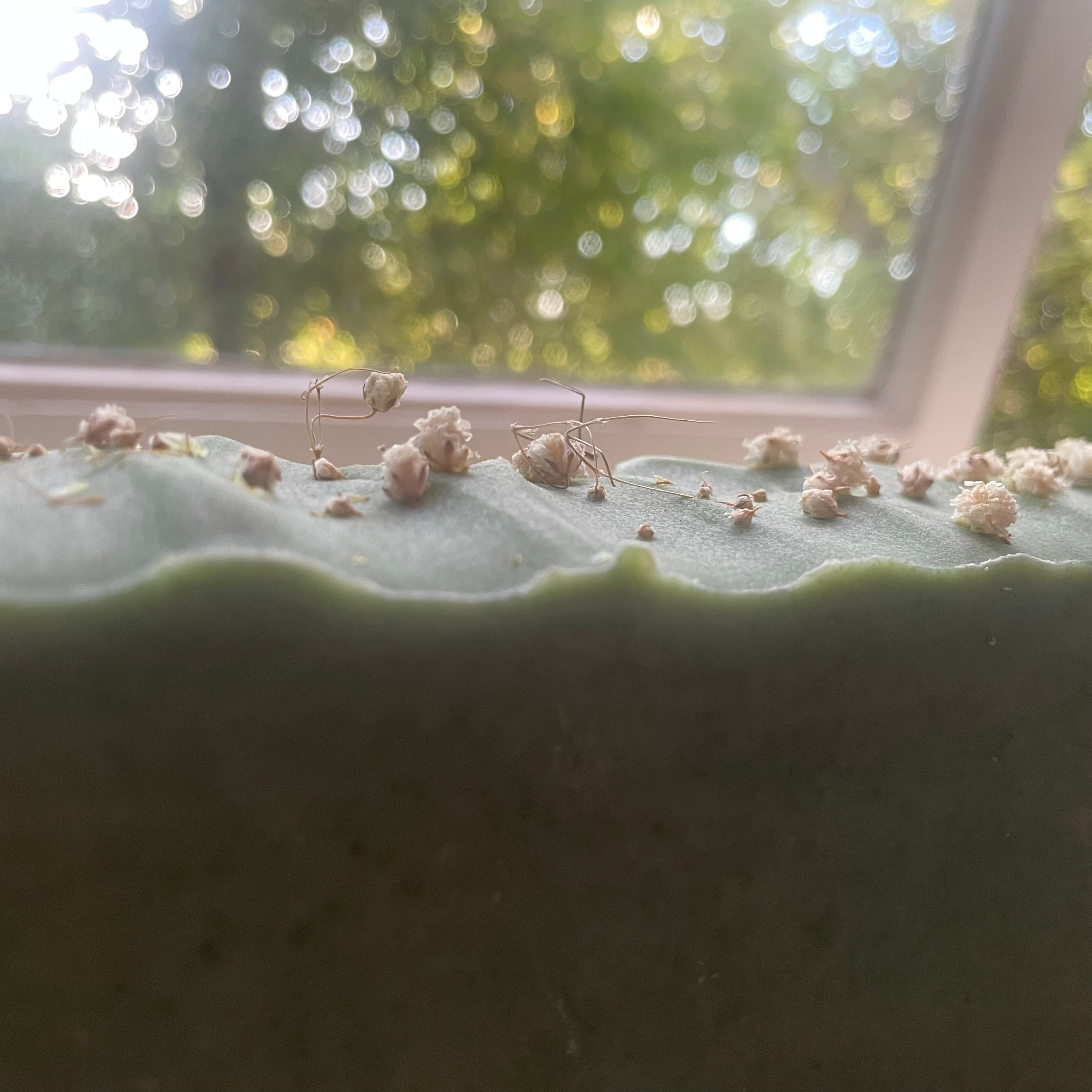 Rosemary Soap | Soap Bar | Shower& Bath