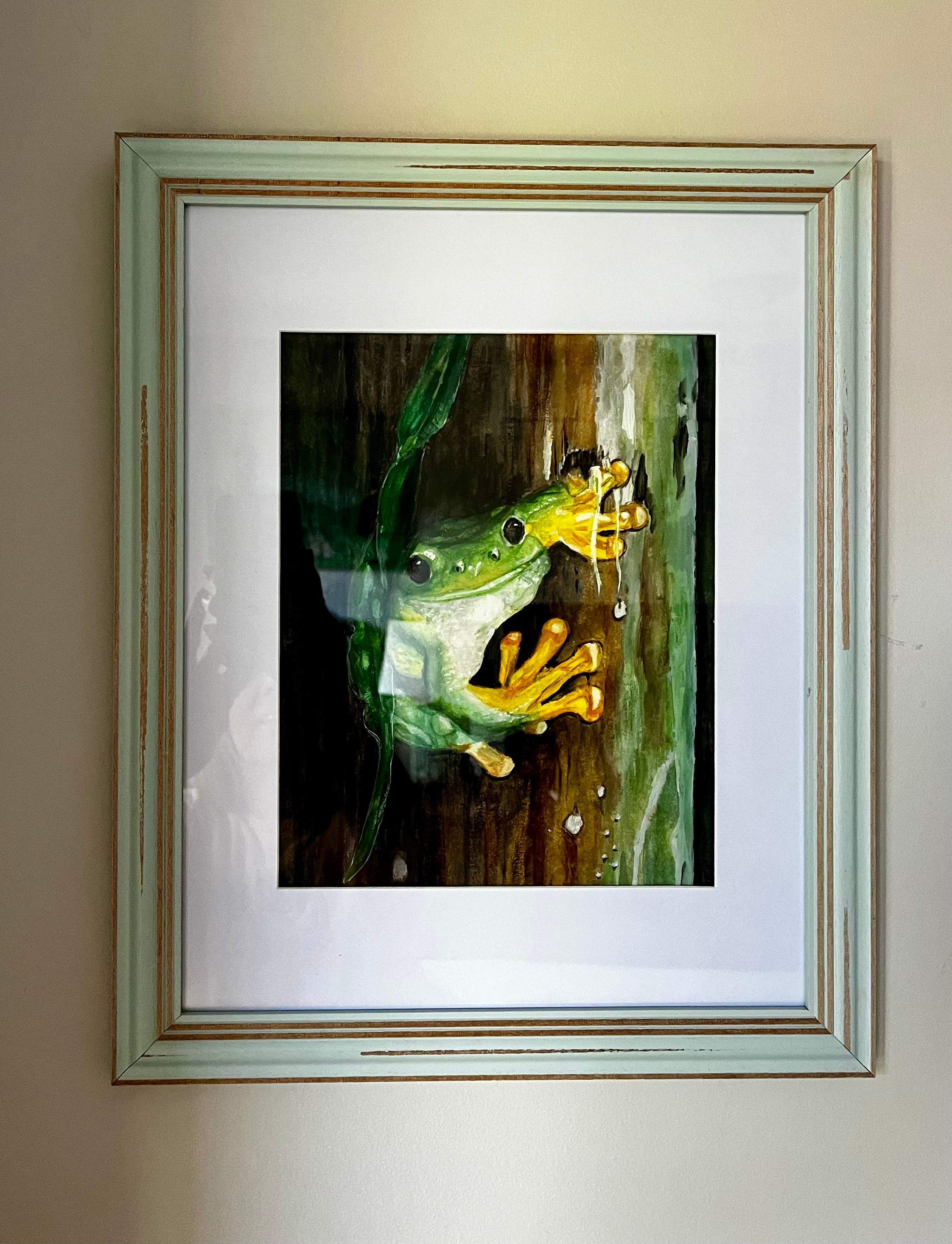 Green frog in a rainforest