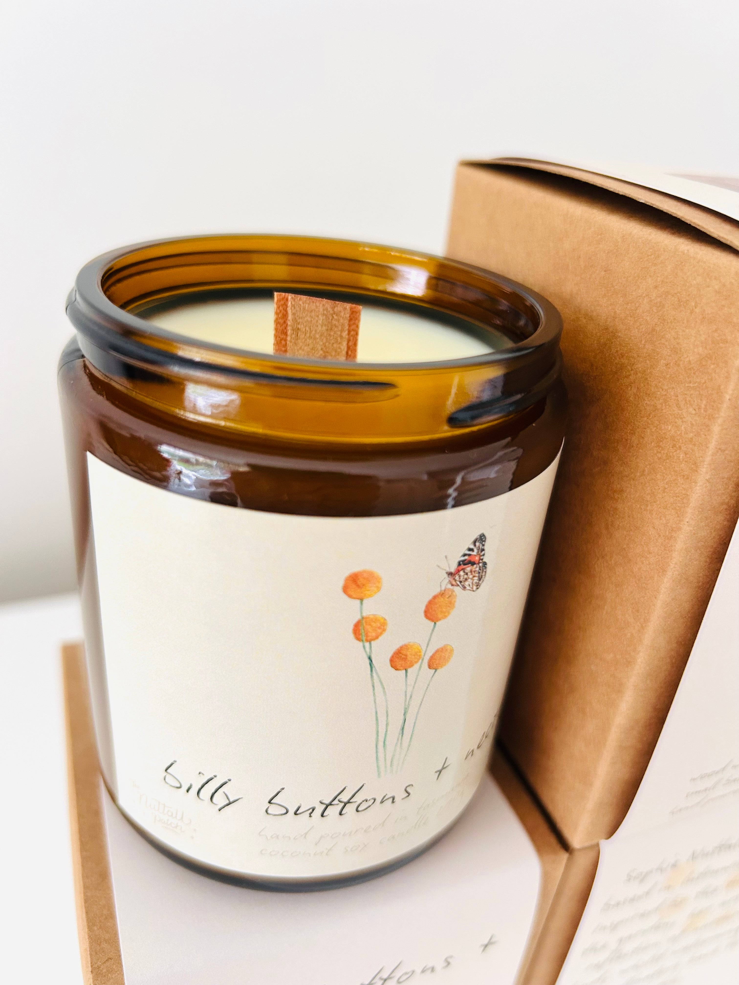 Art Candle - Billy Buttons + Nectar