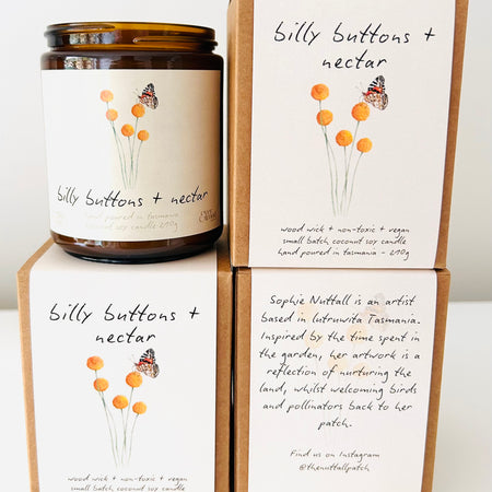 Art Candle - Billy Buttons + Nectar