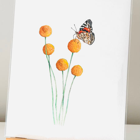 Art Print - Billy Buttons & Australian Painted Lady Butterfly