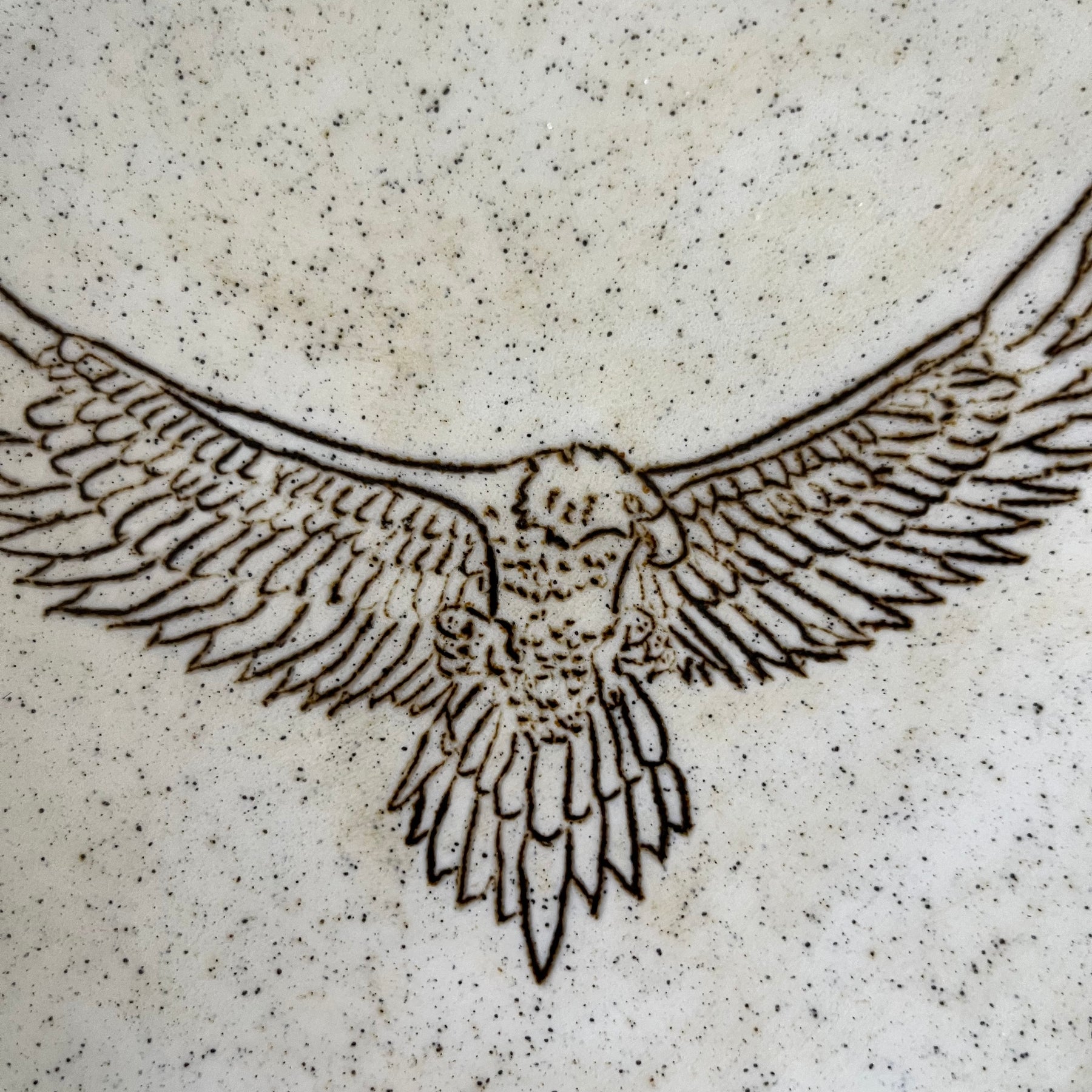 HARRY - The Australian Wedge-tailed Eagle Plate