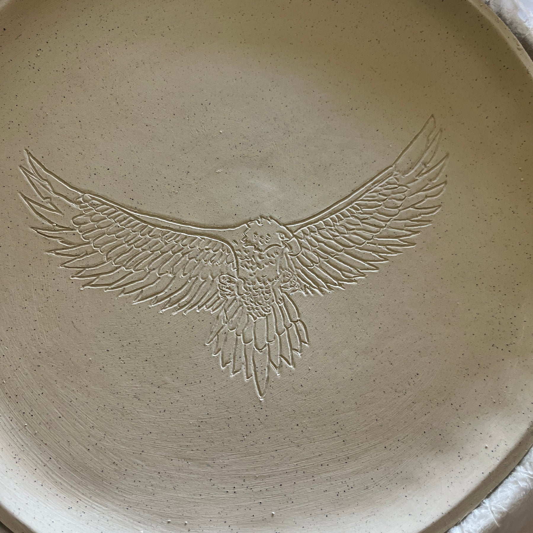 HARRY - The Australian Wedge-tailed Eagle Plate