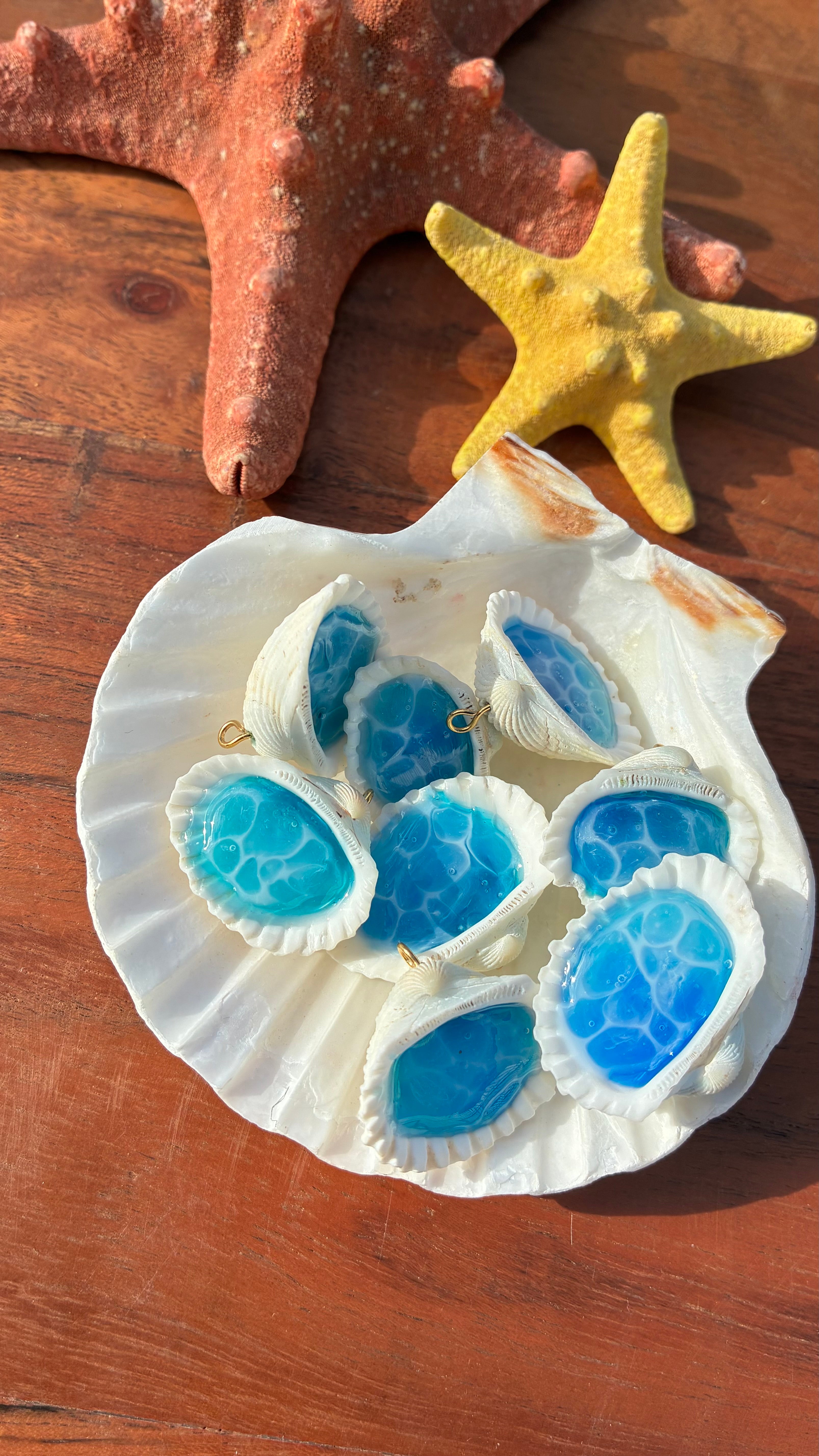 Ocean in a Shell🐚🏝️