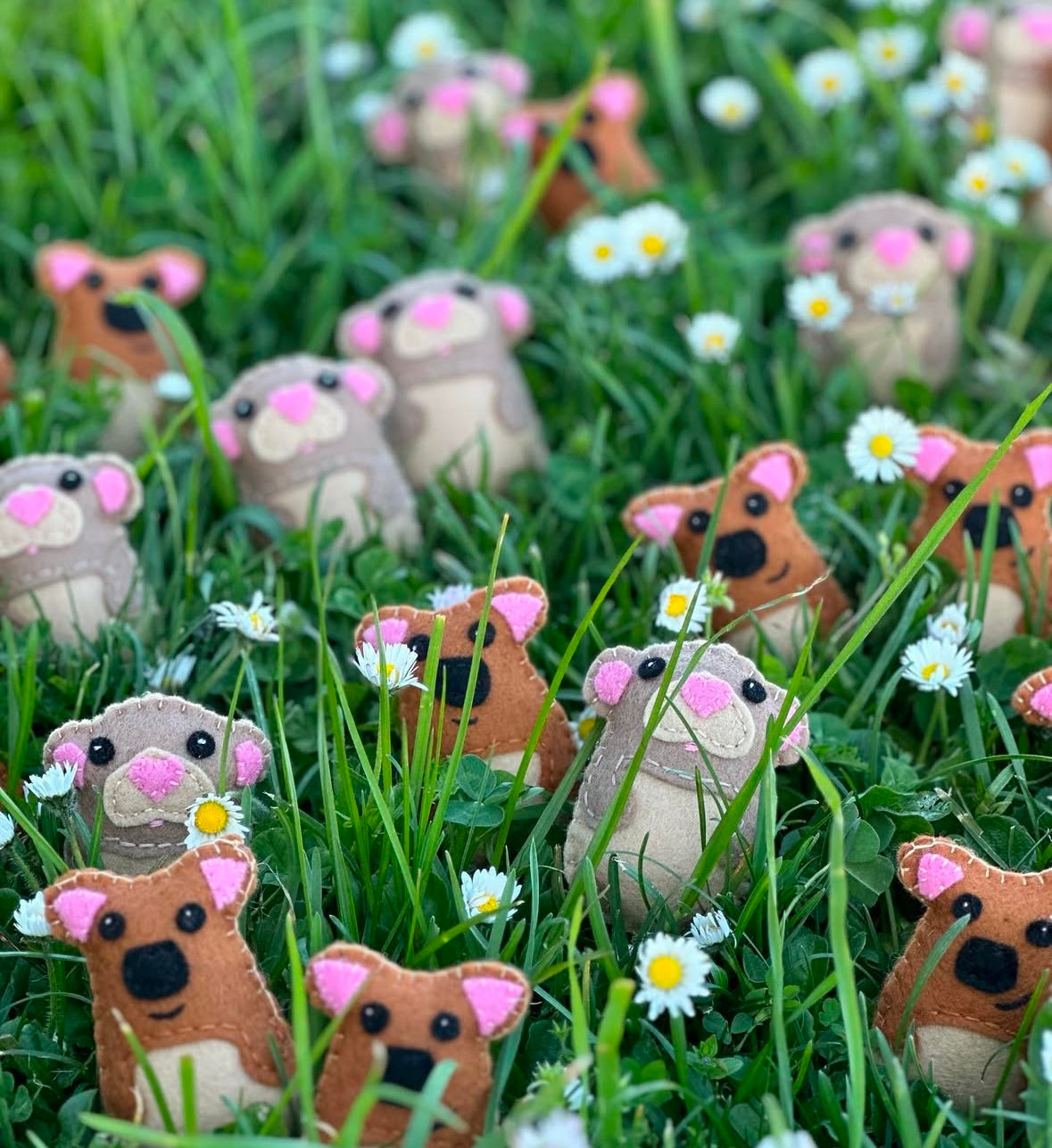 Baby Pademelons plushies handmade wool felt