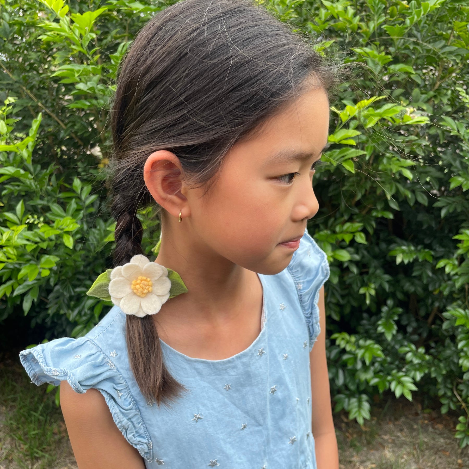 Set of 2 Daisies clip set