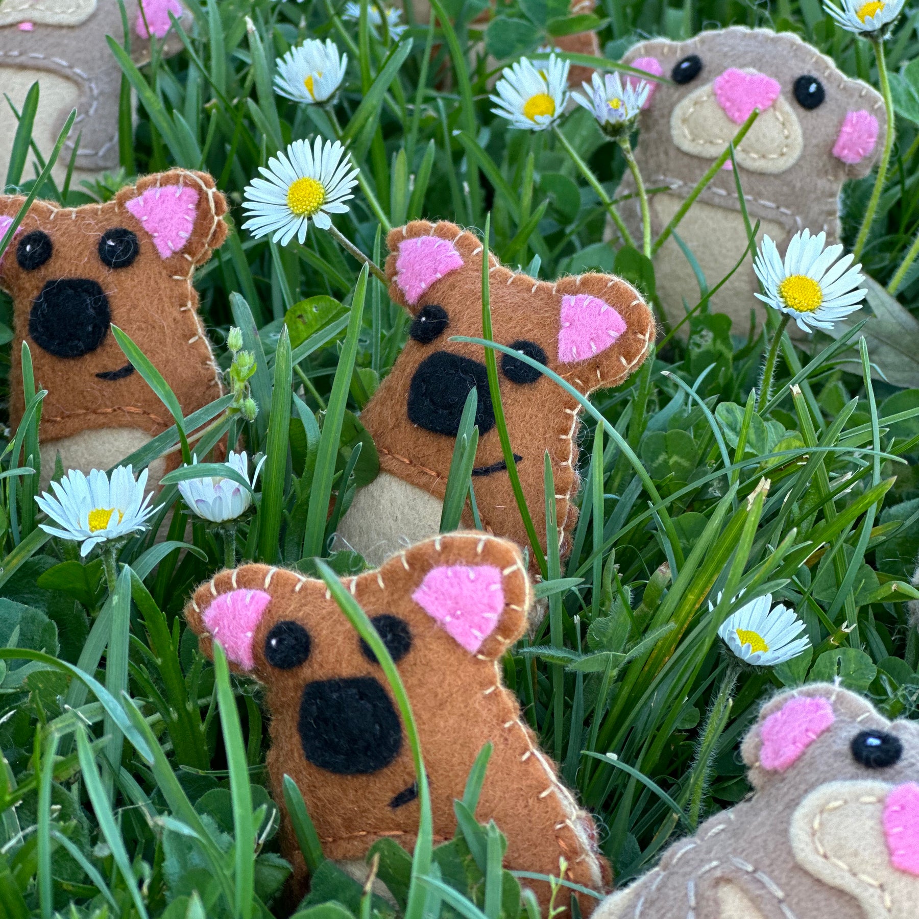 Baby Pademelons plushies handmade wool felt