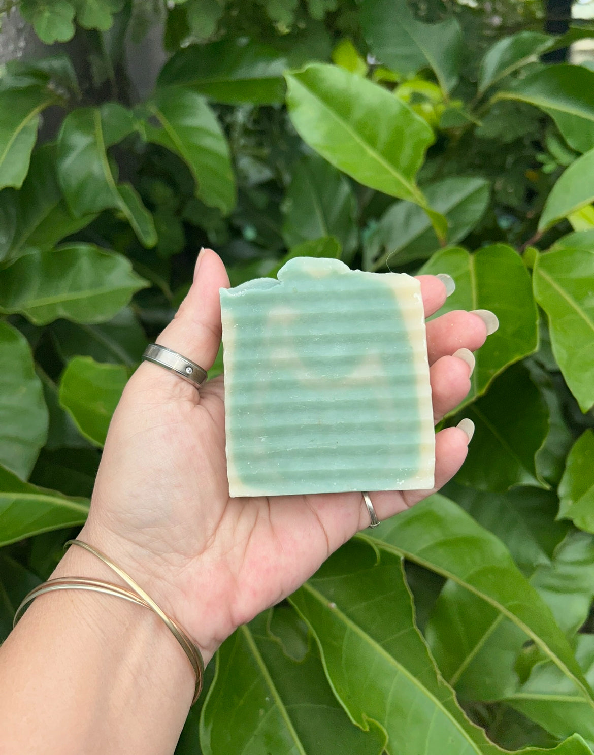 Natural Vegan Soap | Cucumber Soap | Handmade Soap | Vegan Friendly Skincare