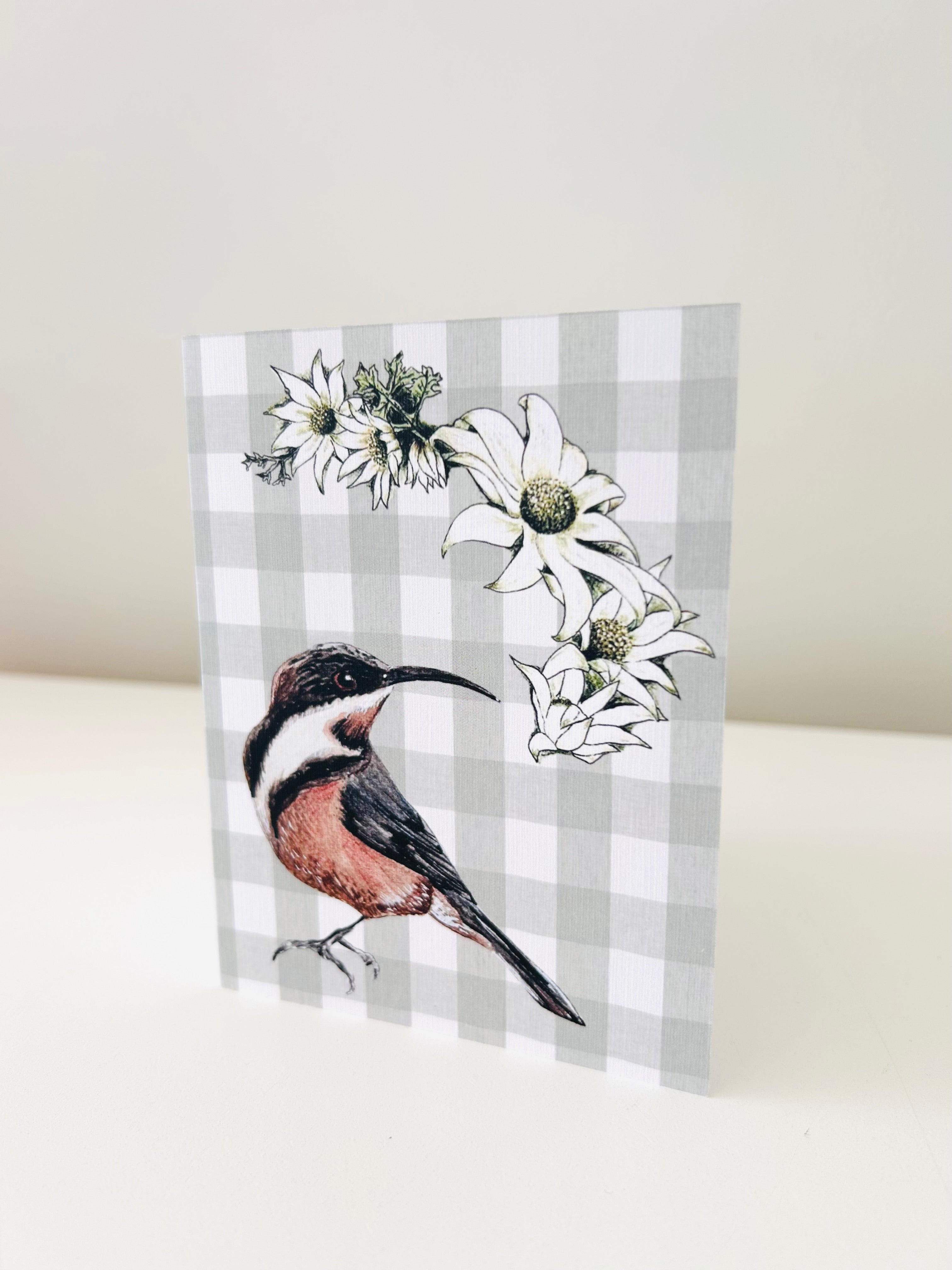 Greeting Card - Eastern Spinebill & Flannel Flower