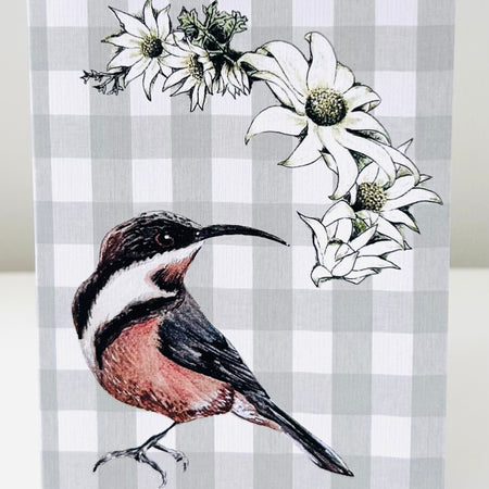 Greeting Card - Eastern Spinebill & Flannel Flower