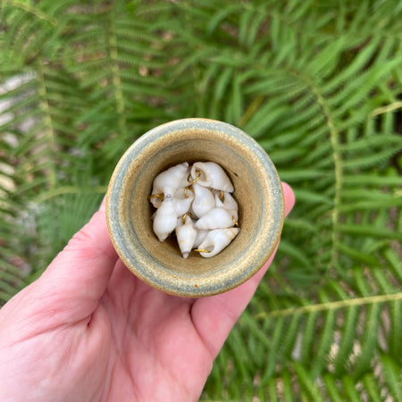 Natural Small Shell Pendant Coastal Jewellery