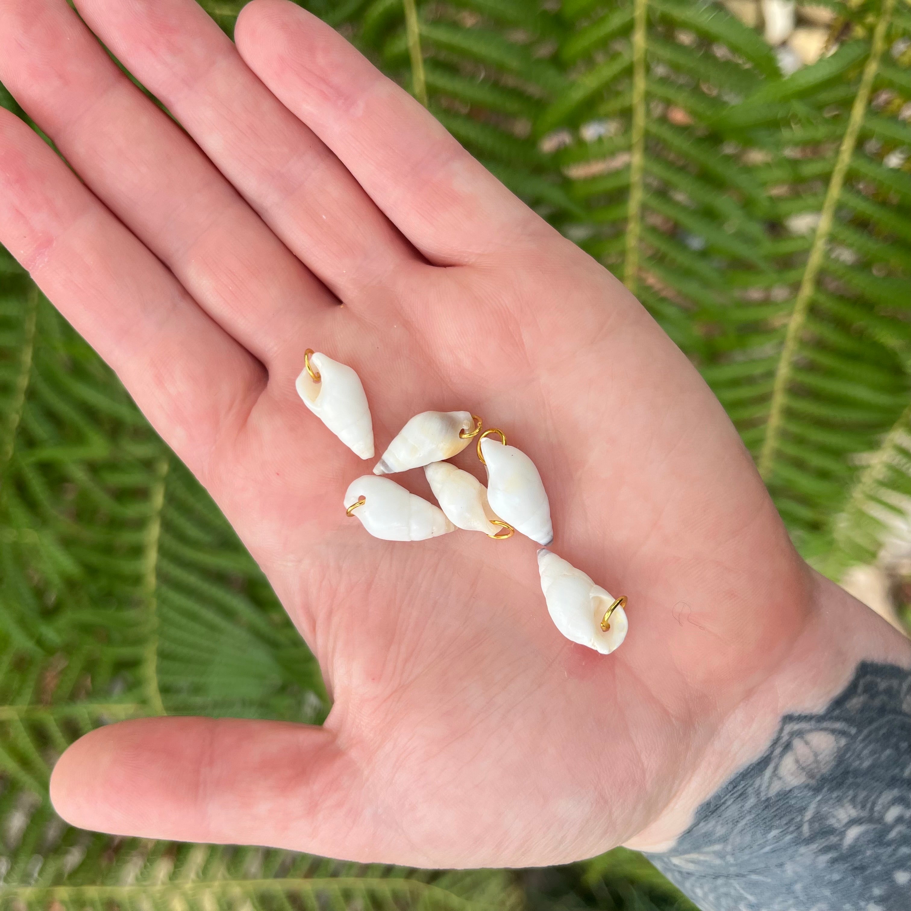 Natural Small Shell Pendant Coastal Jewellery