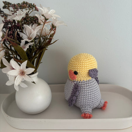 Little cockatiel
