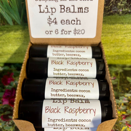 Lip Balm with Cocoa Butter